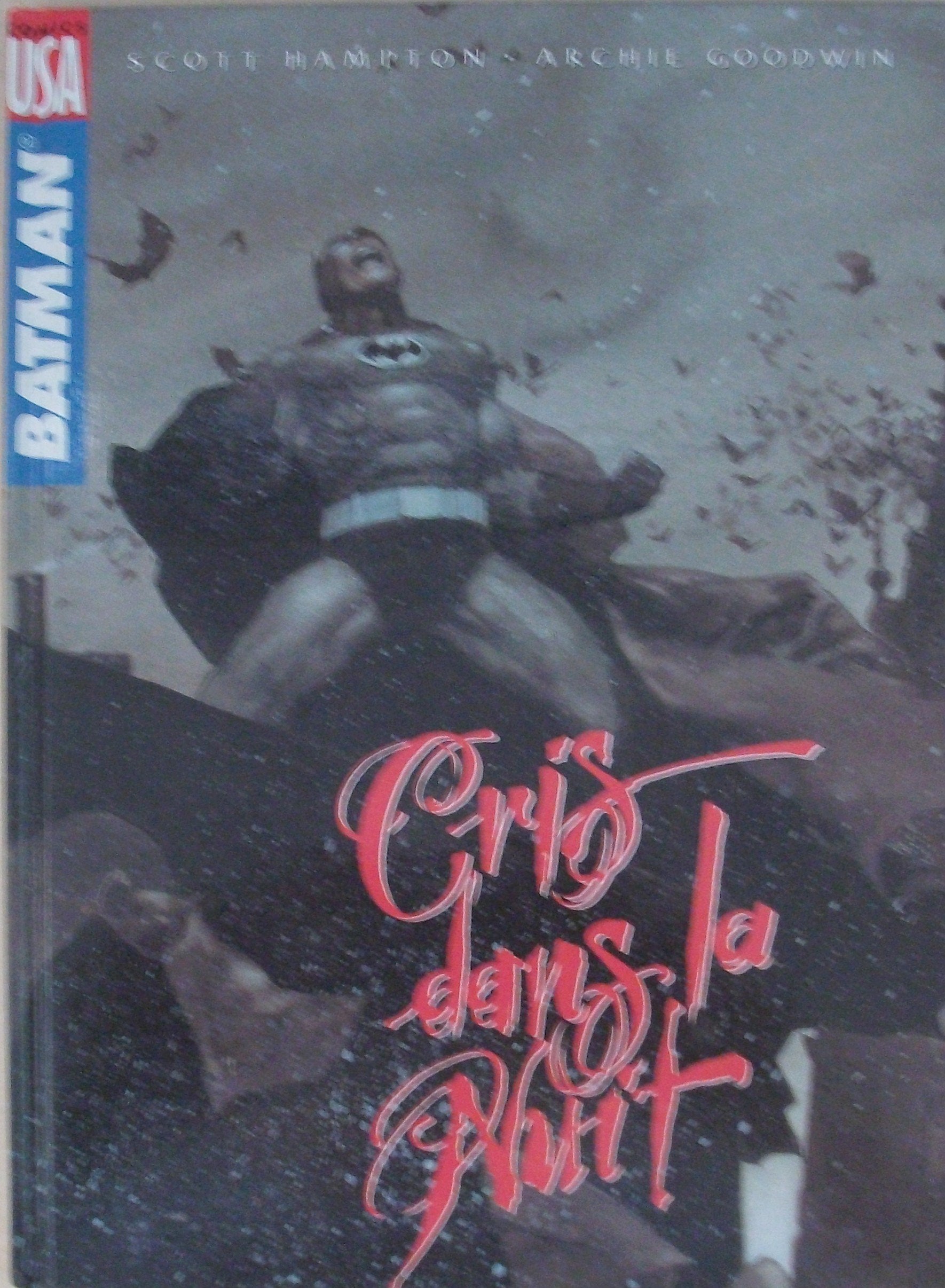 Batman: Cris dans la nuit 9782876952034