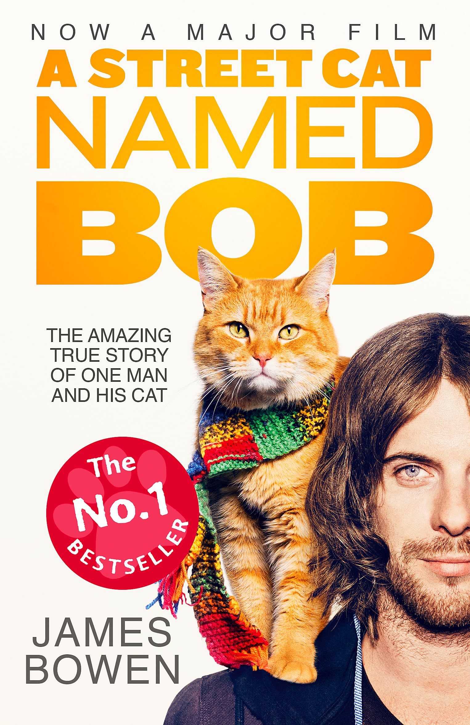 A Street Cat Named Bob: How one man and his cat found hope on the streets 9781473633360