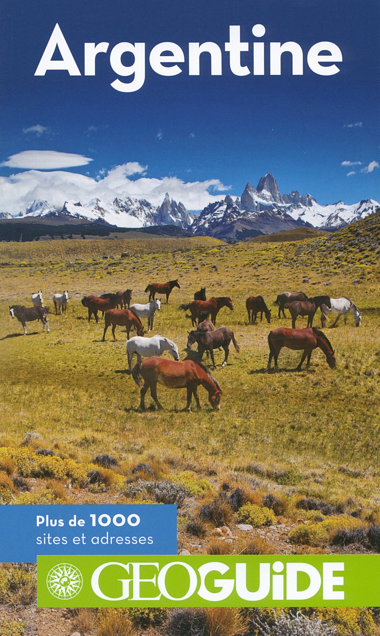 Guide Argentine 9782742436408