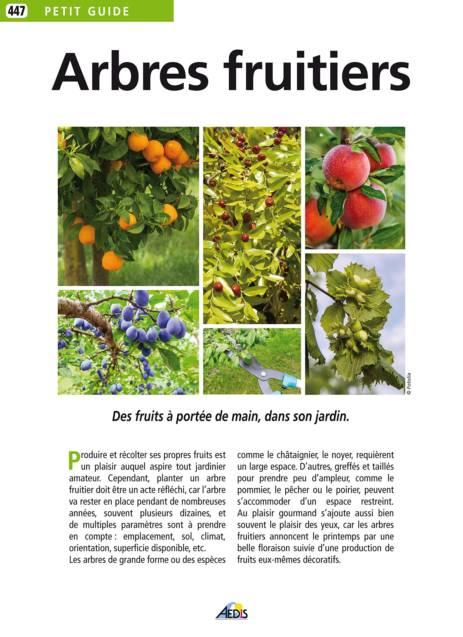 PG447 - Les Arbres Fruitiers 9782842599102