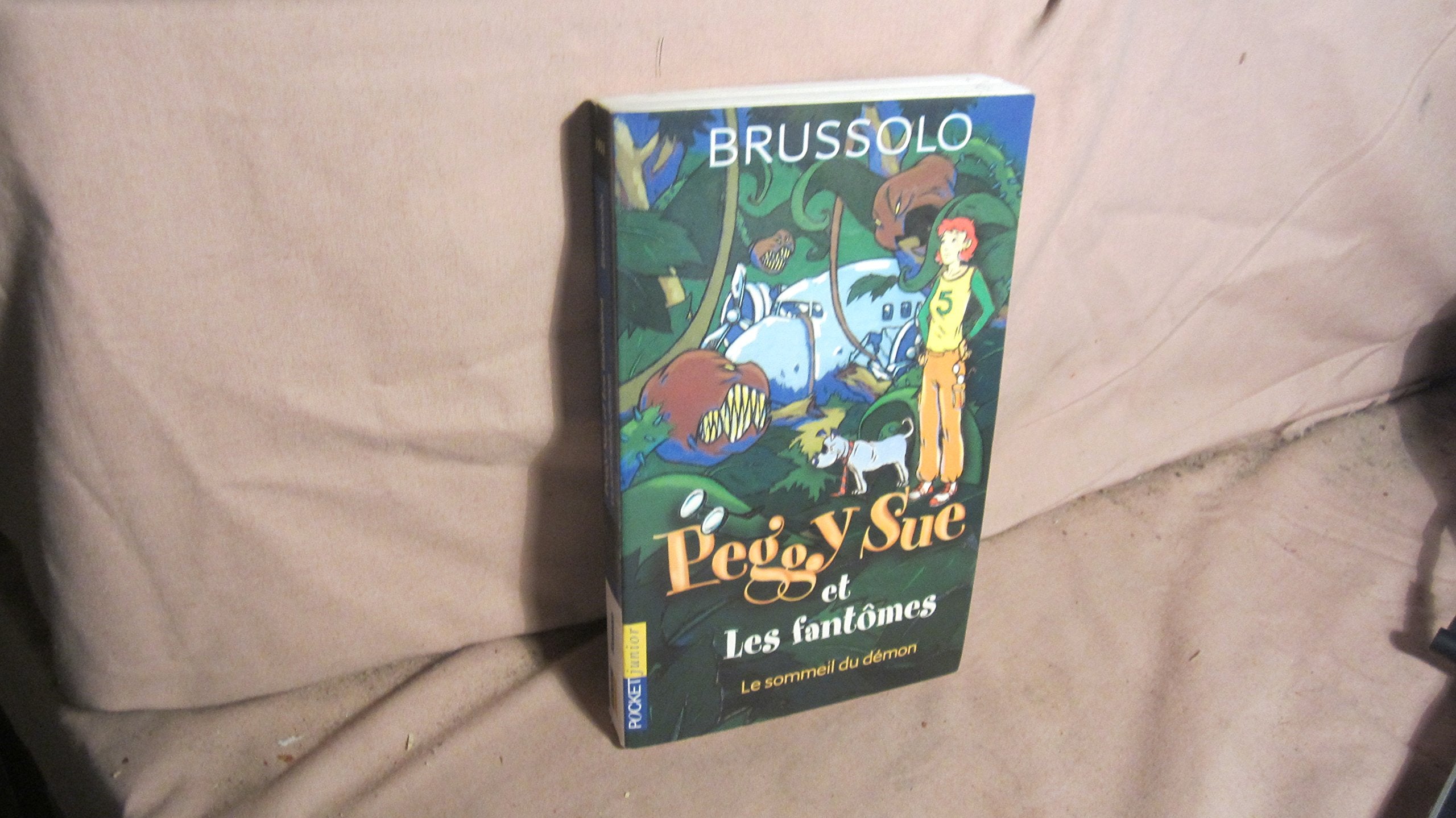Peggy Sue et les Fantômes, tome 2 : Le Sommeil du démon 9782266123600