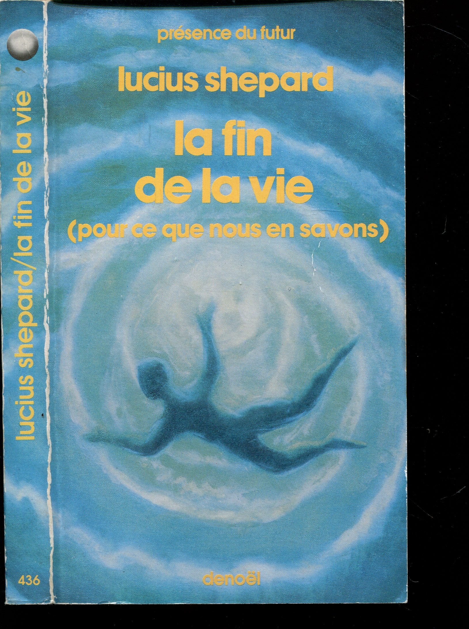 La fin de la vie (pour ce que nous en savons) 9782207304365