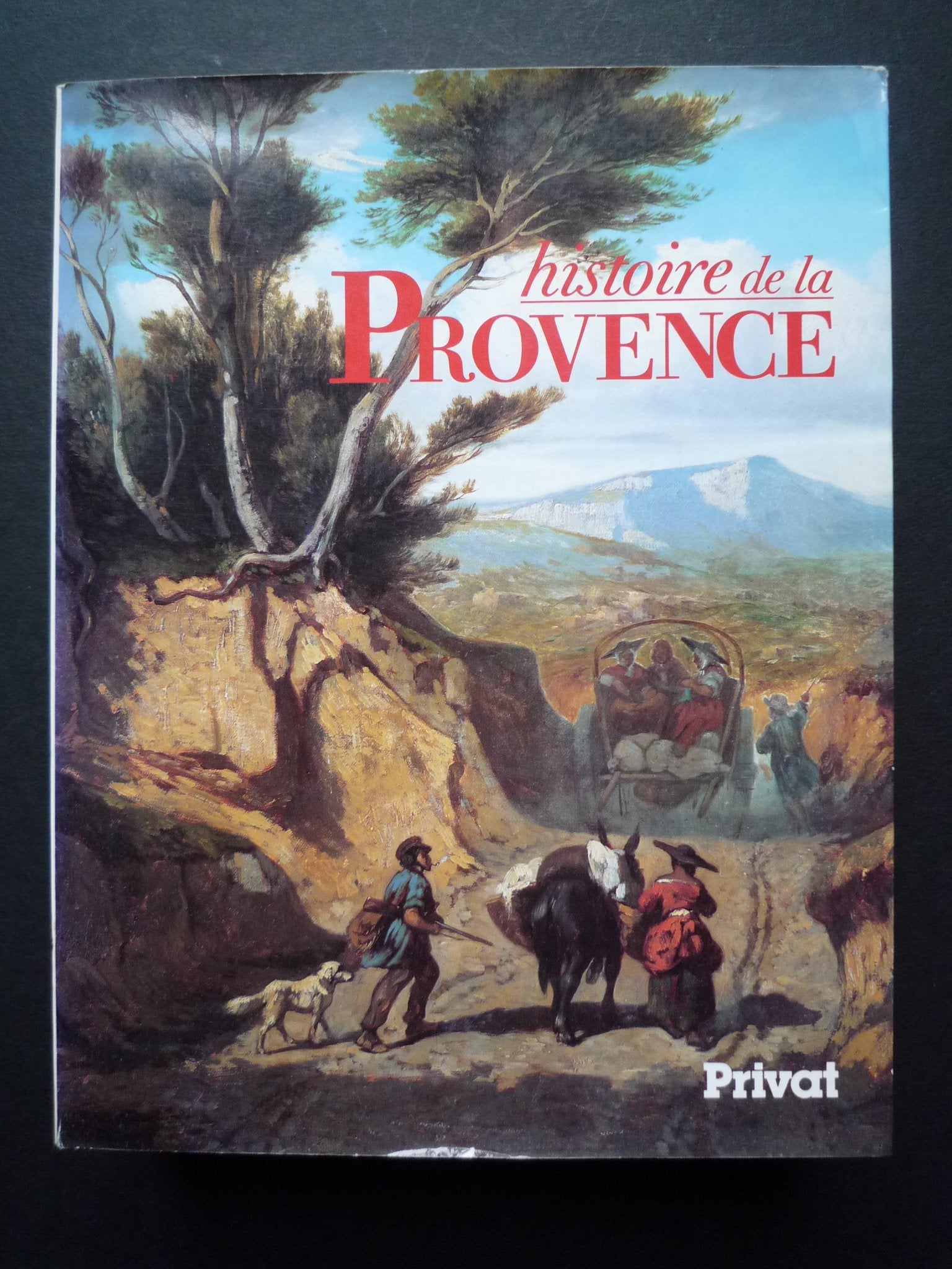 Histoire de la Provence 9782708916494