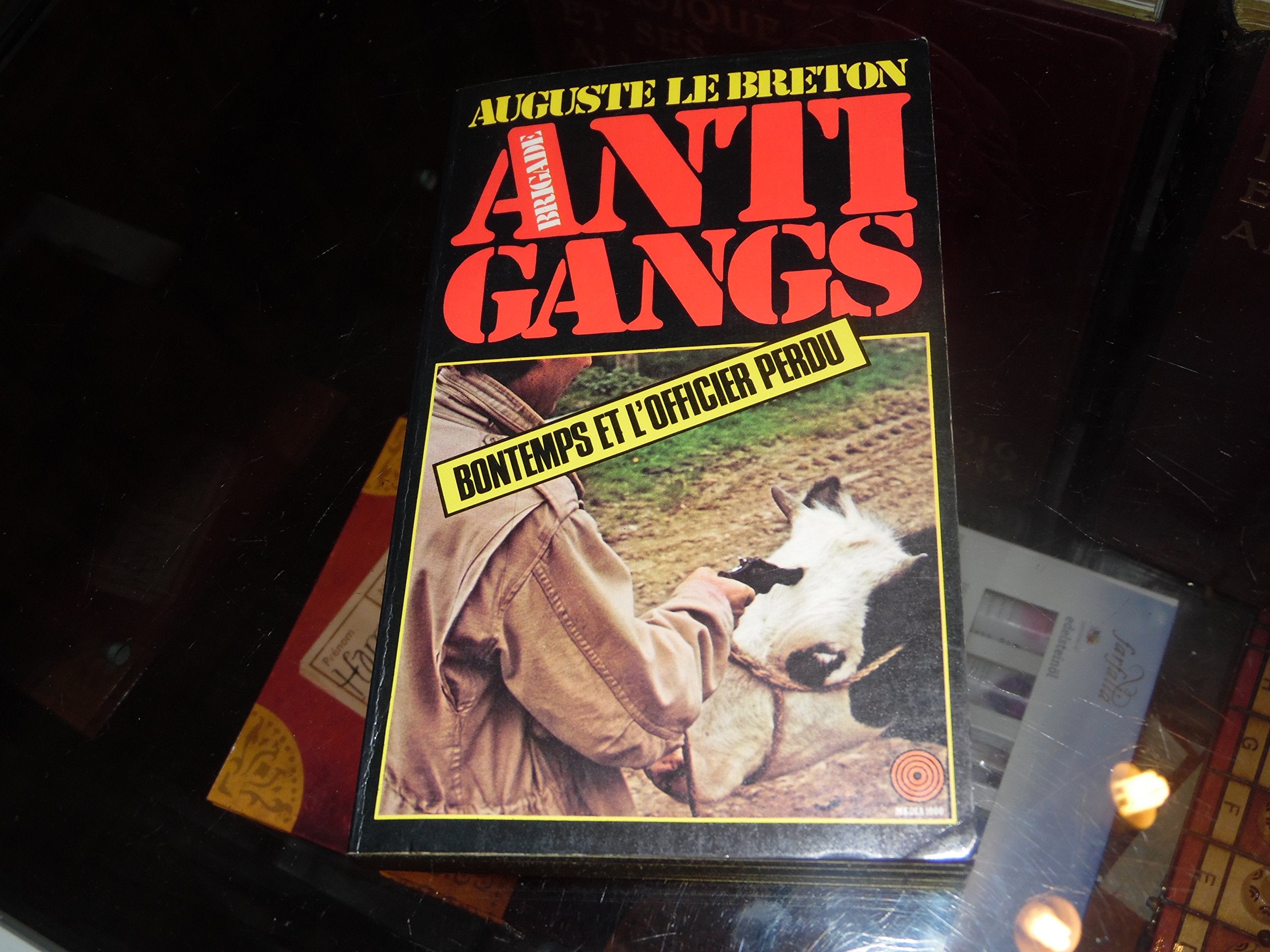 Bontemps et l'officier perdu 9782865640331