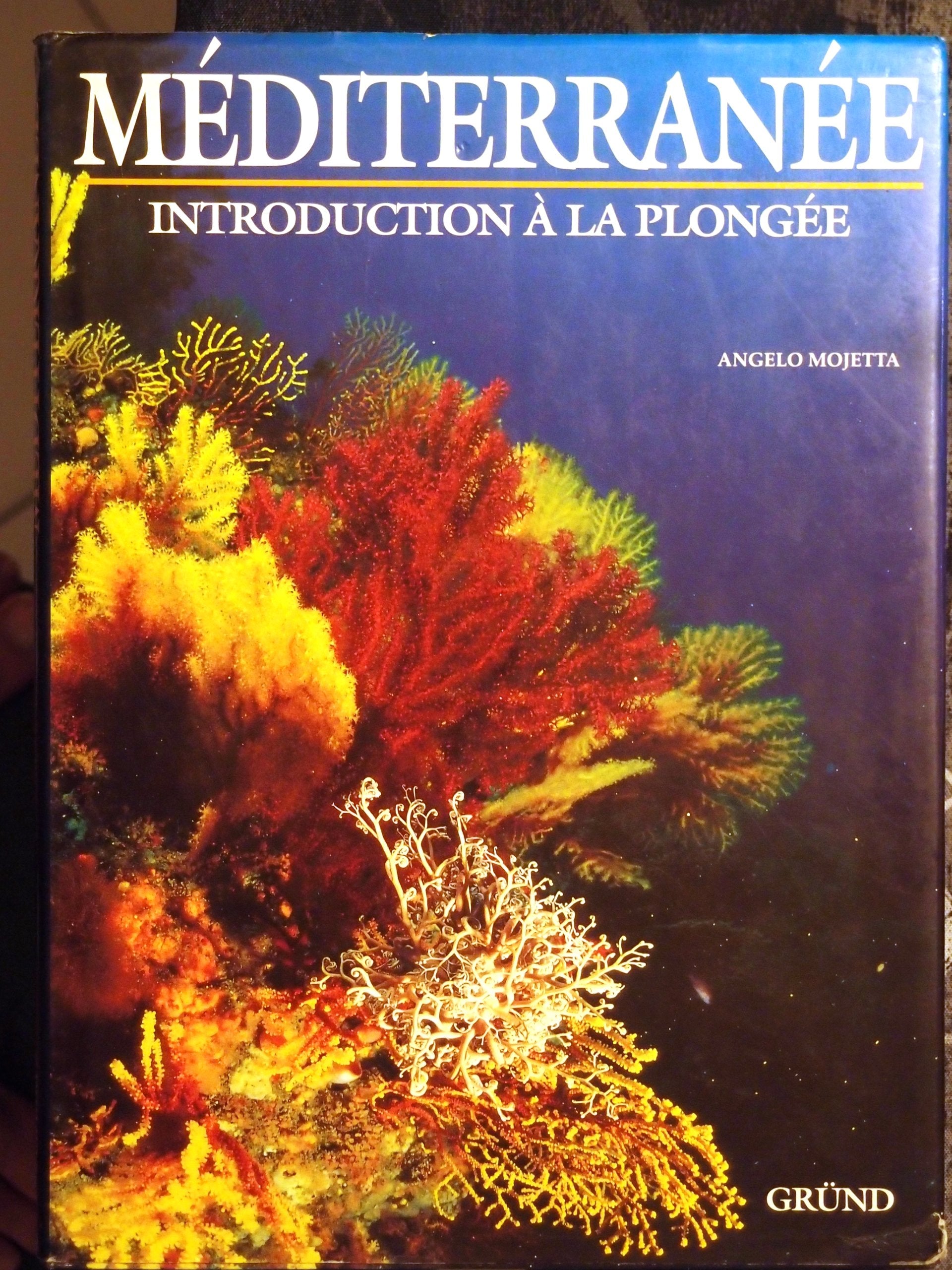 Mediterranee : Introduction A La Plongee 9782700034158