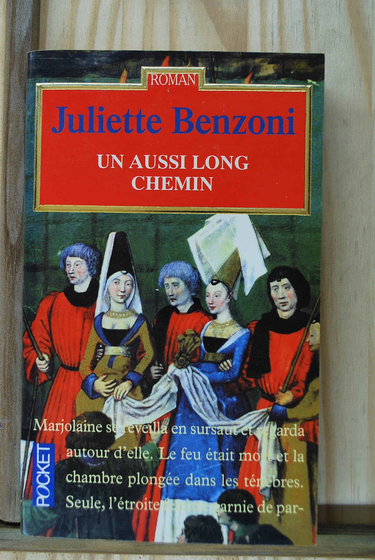 AUSSI LONG CHEMIN 9782266071505