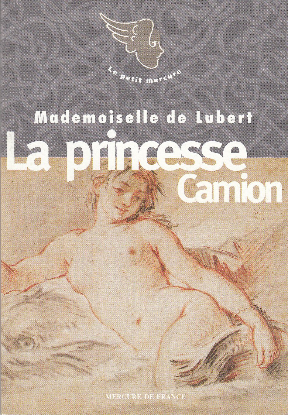 La princesse Camion 9782715219441