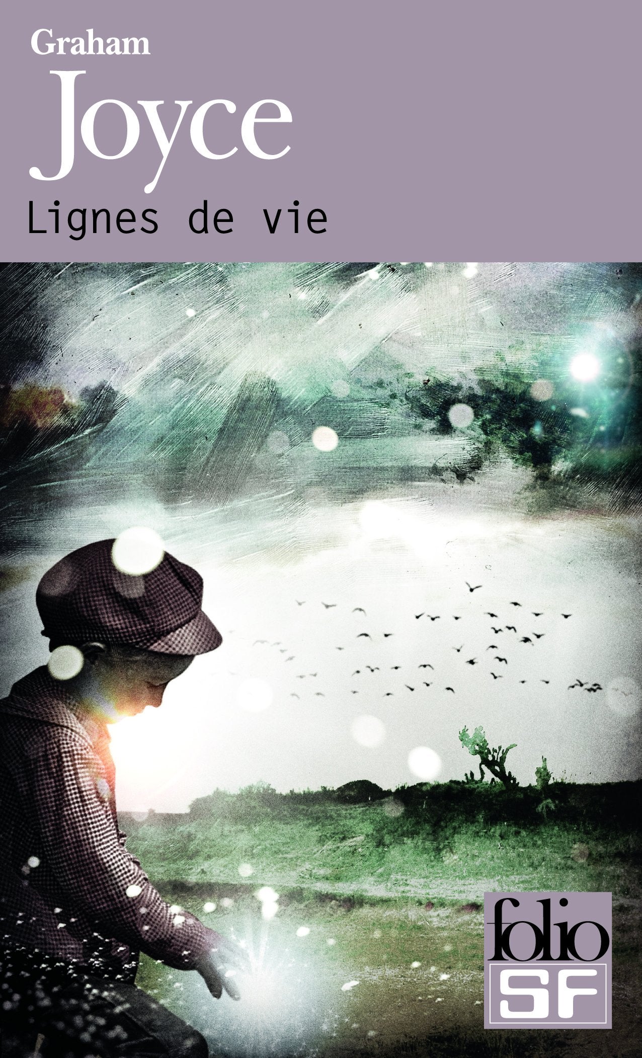 Lignes de vie 9782070459117