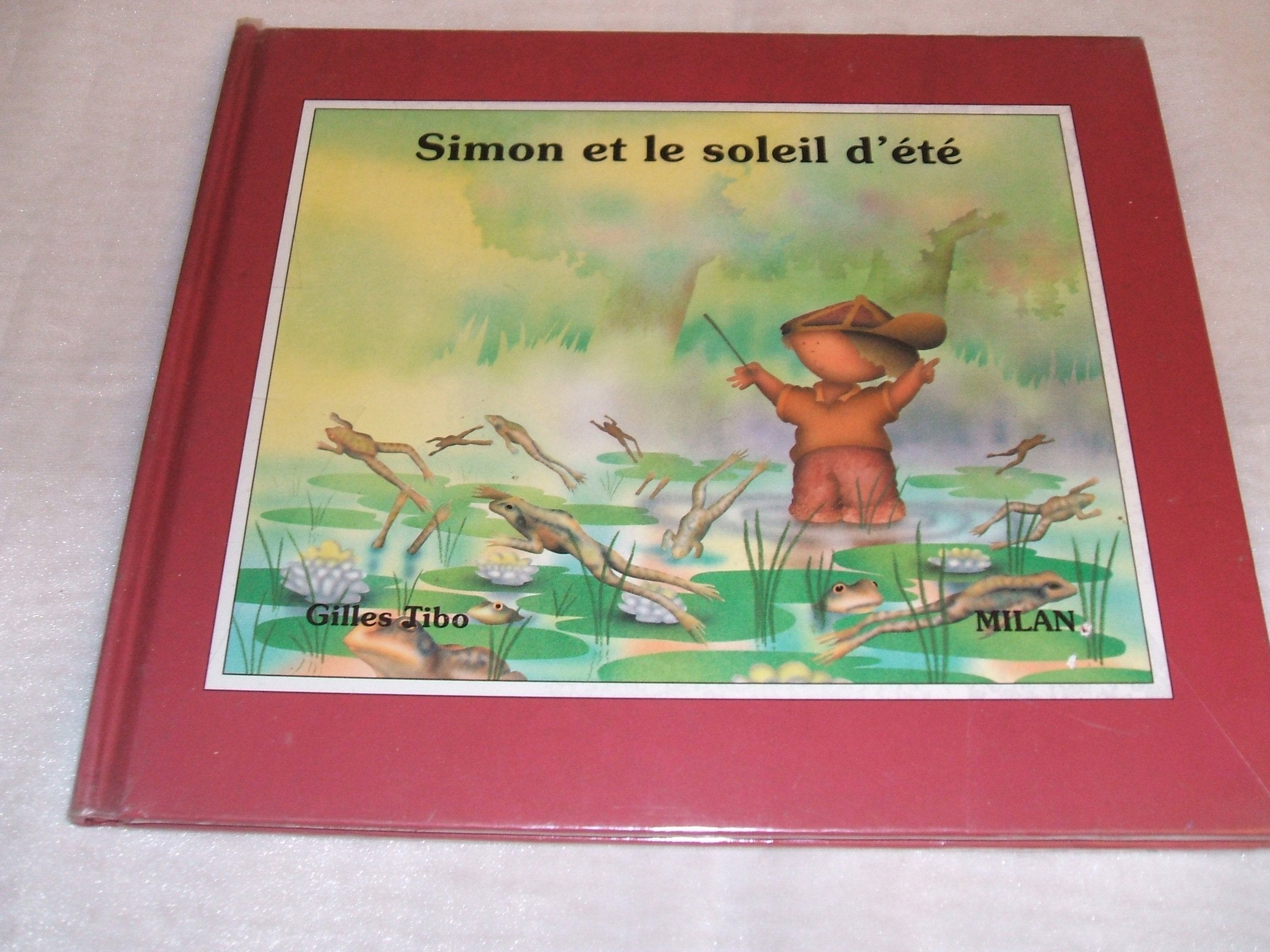 SIMON ET LE SOLEIL D ETE 9782867267796