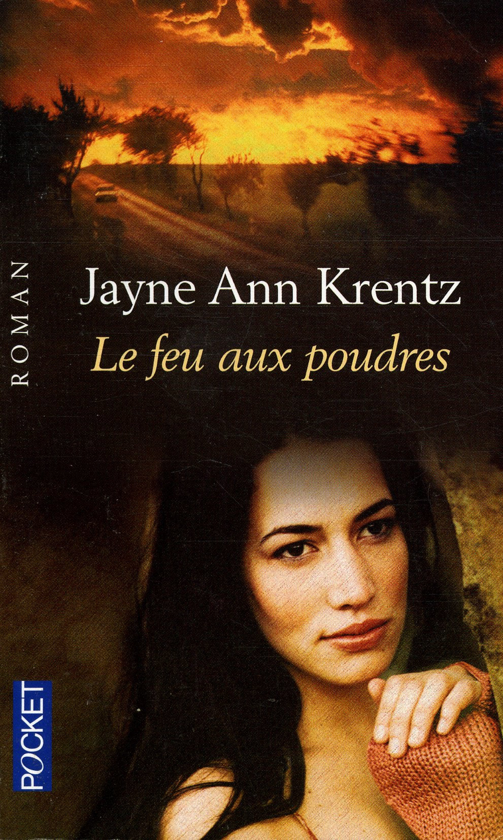 FEU AUX POUDRES 9782266147019