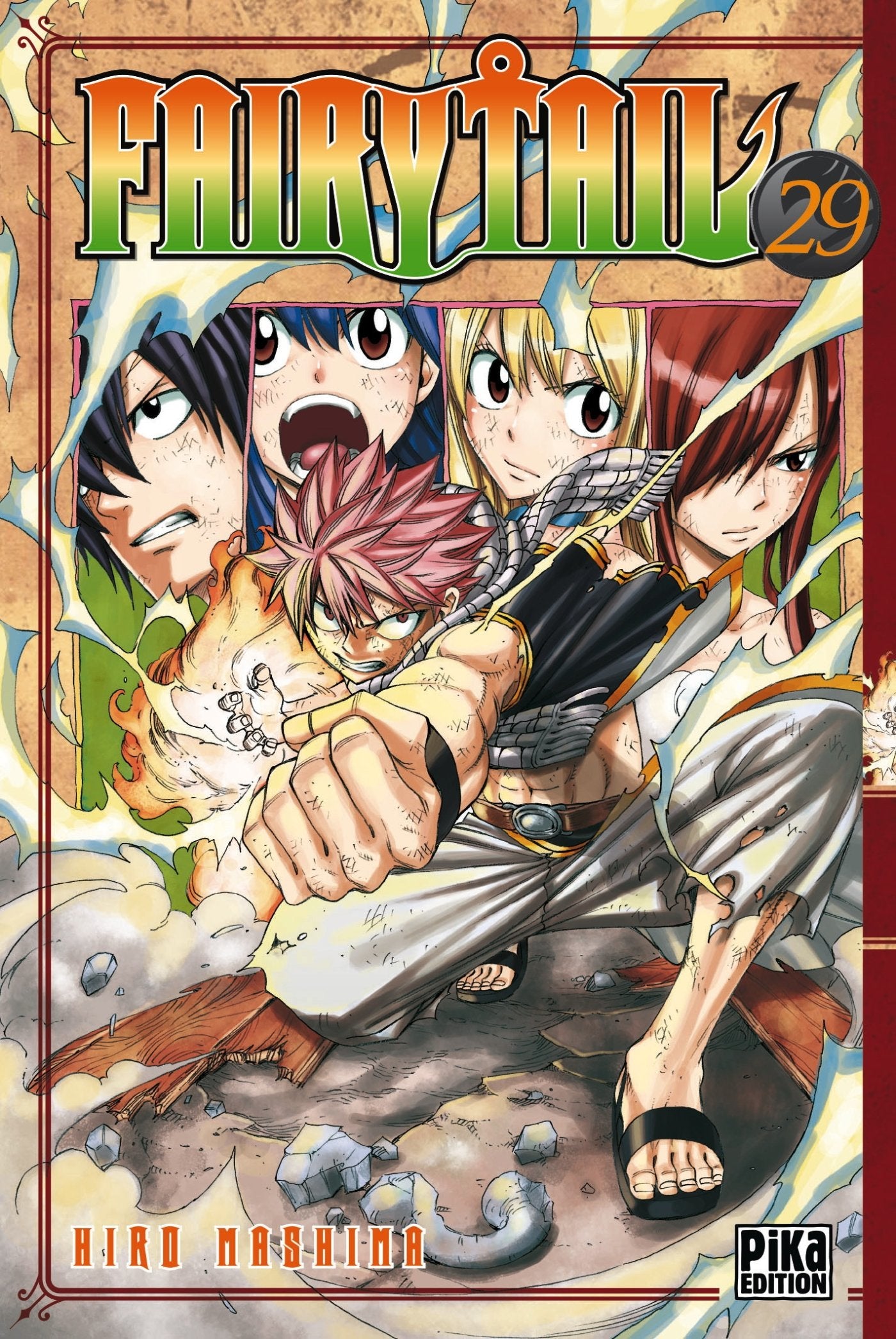 Fairy Tail T29 9782811611088