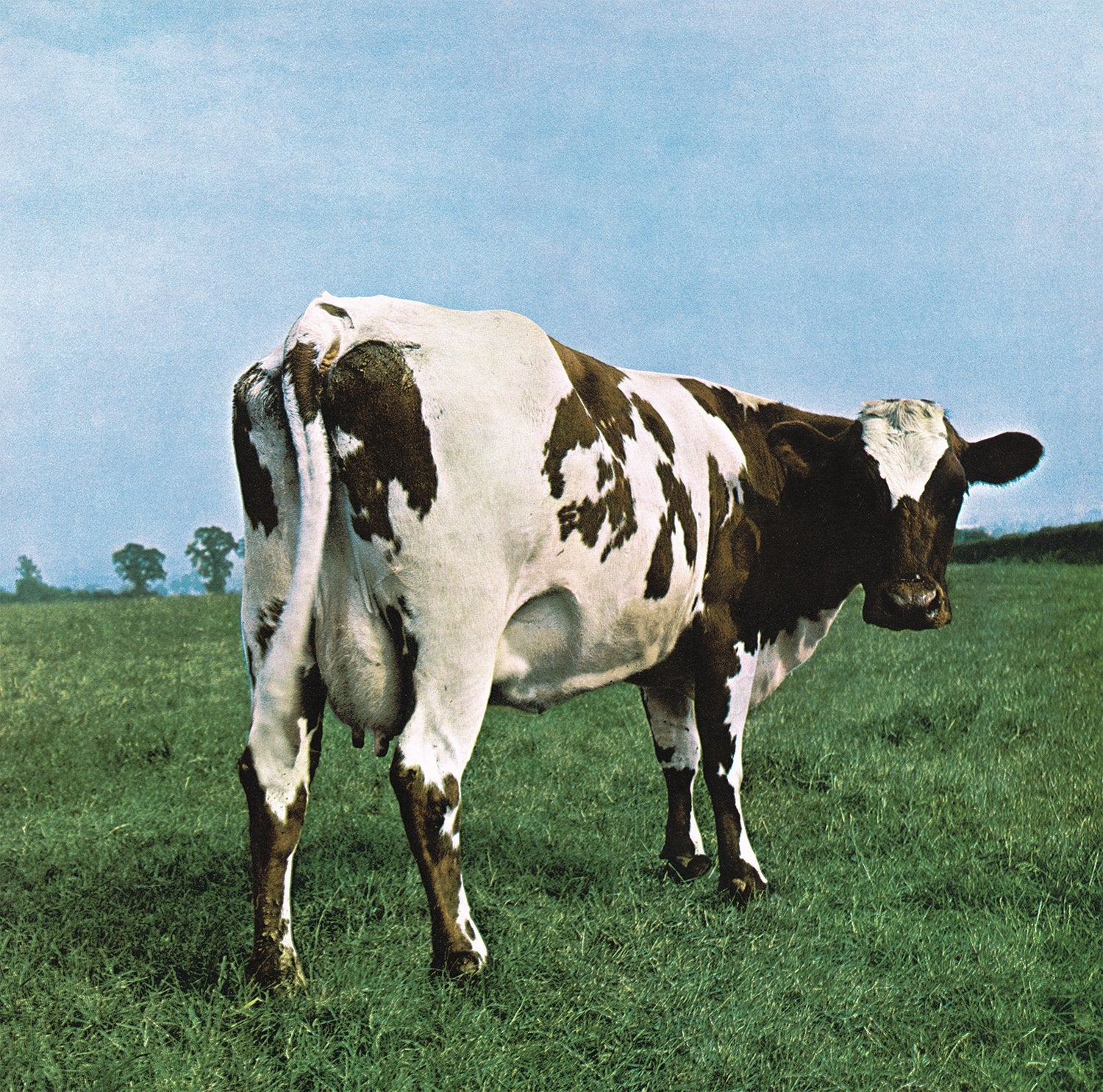 Atom Heart Mother 0888751842212