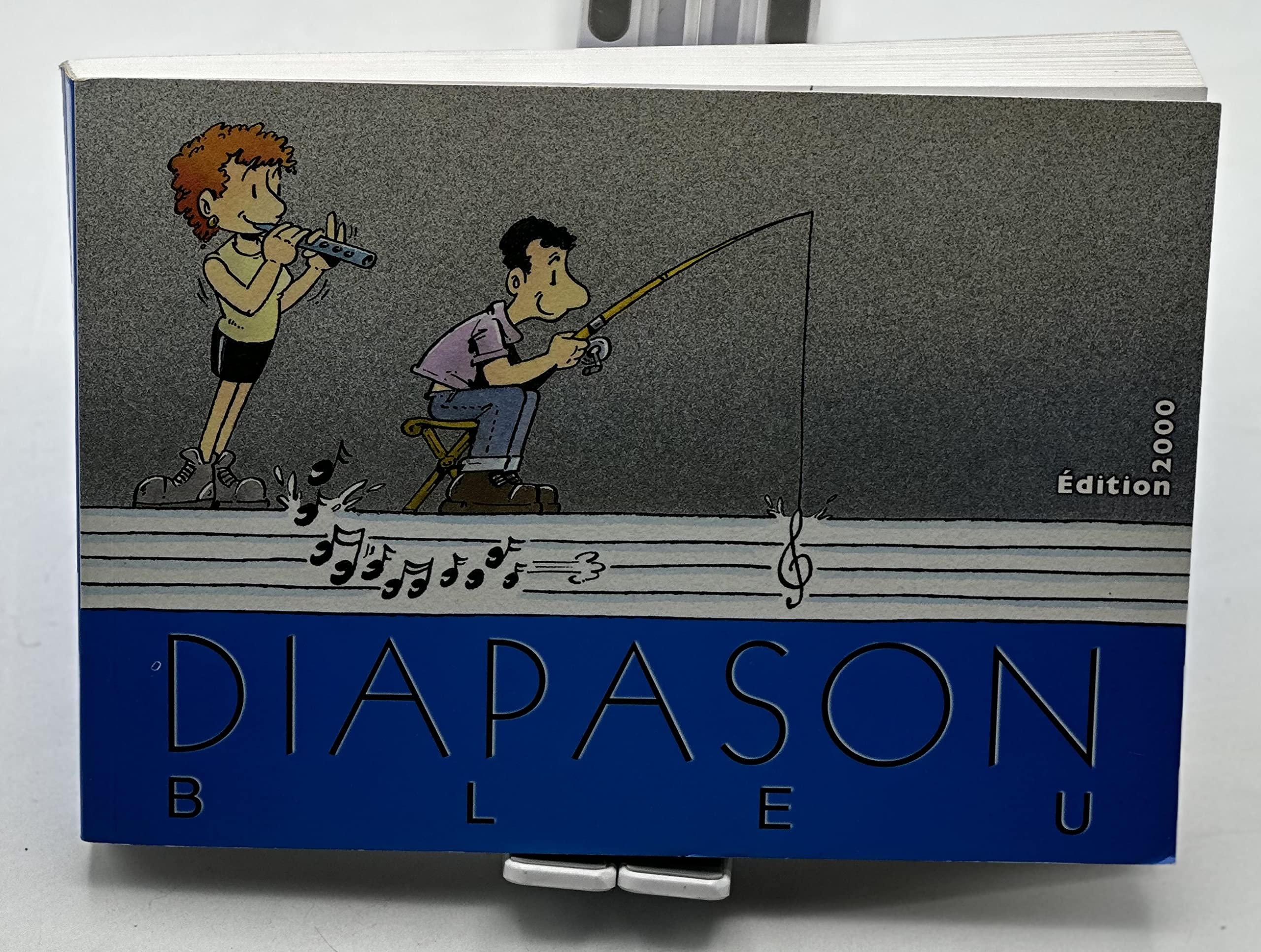Diapason Bleu Carnets de Chants Scouts avec Partitions et Accords 3351380101106