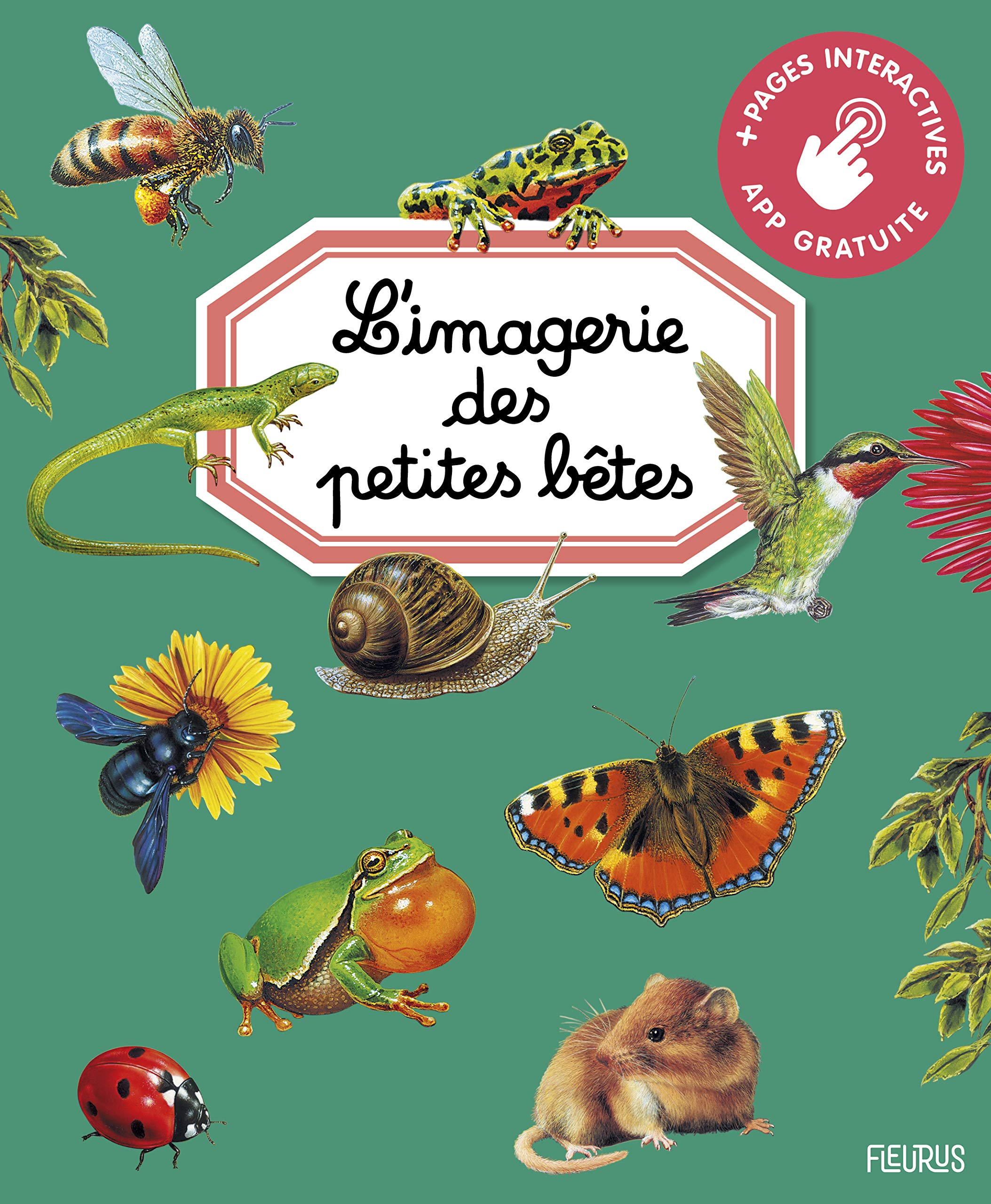L'imagerie des petites bêtes (interactive) 9782215161875