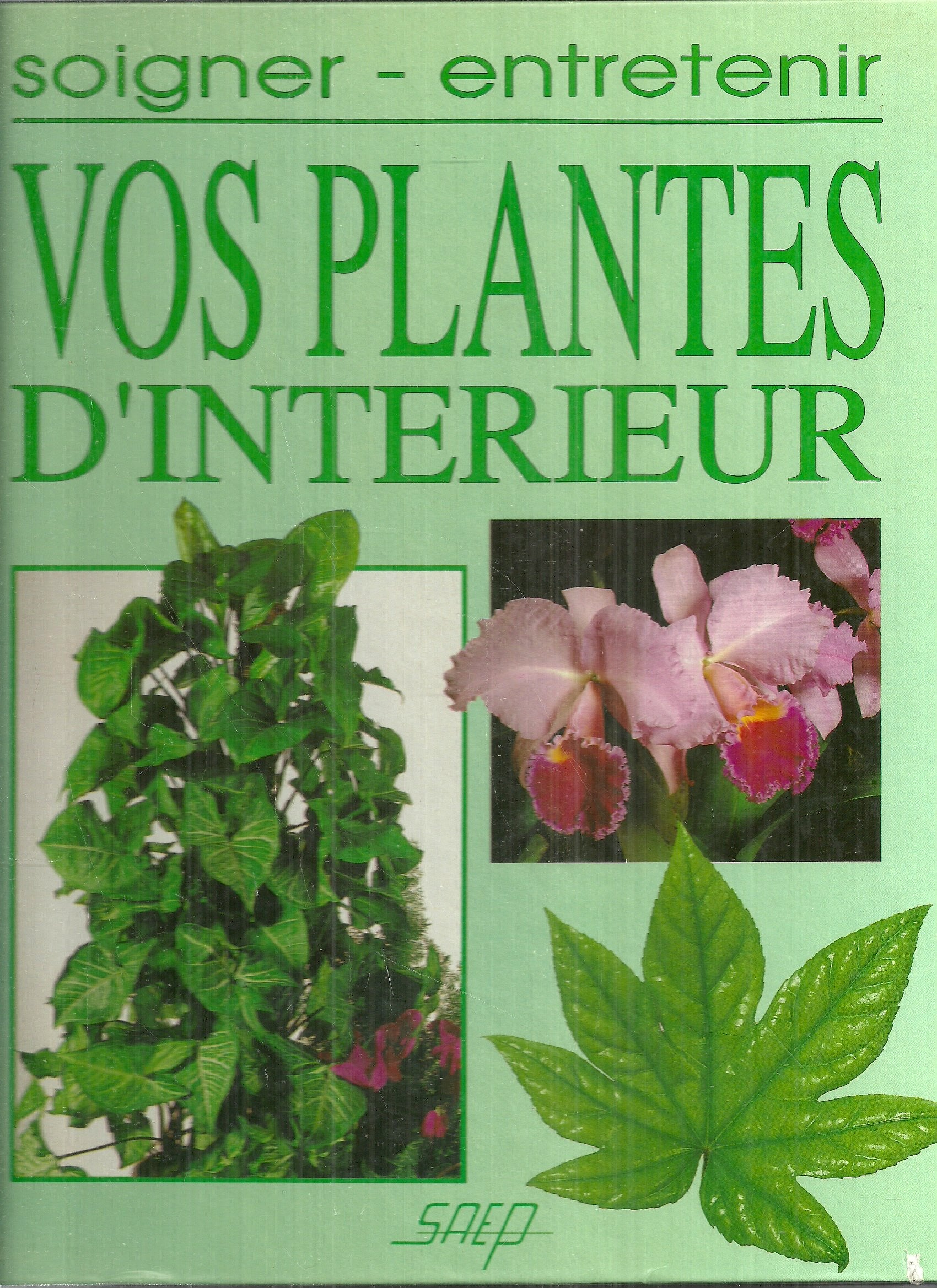 Soigner entretenir les plantes d'interieur 9782737232060