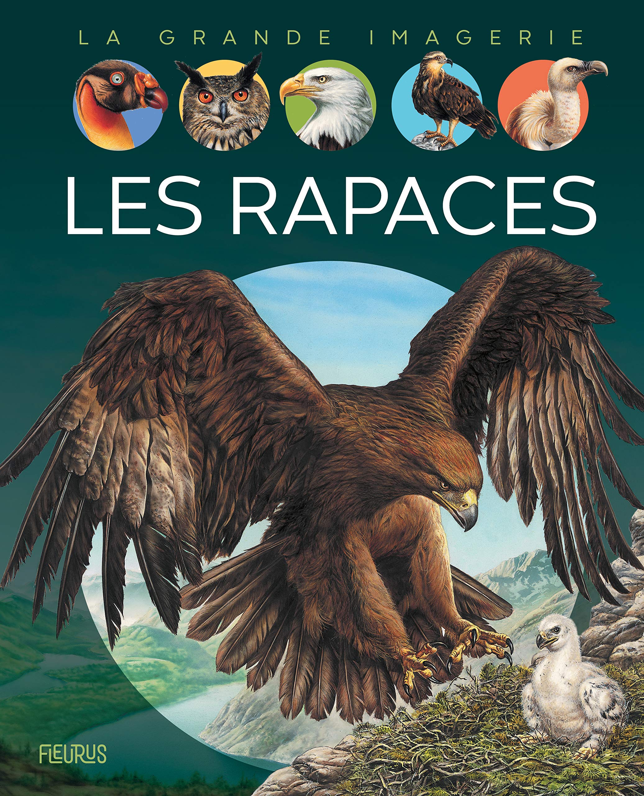 Les rapaces 9782215158462