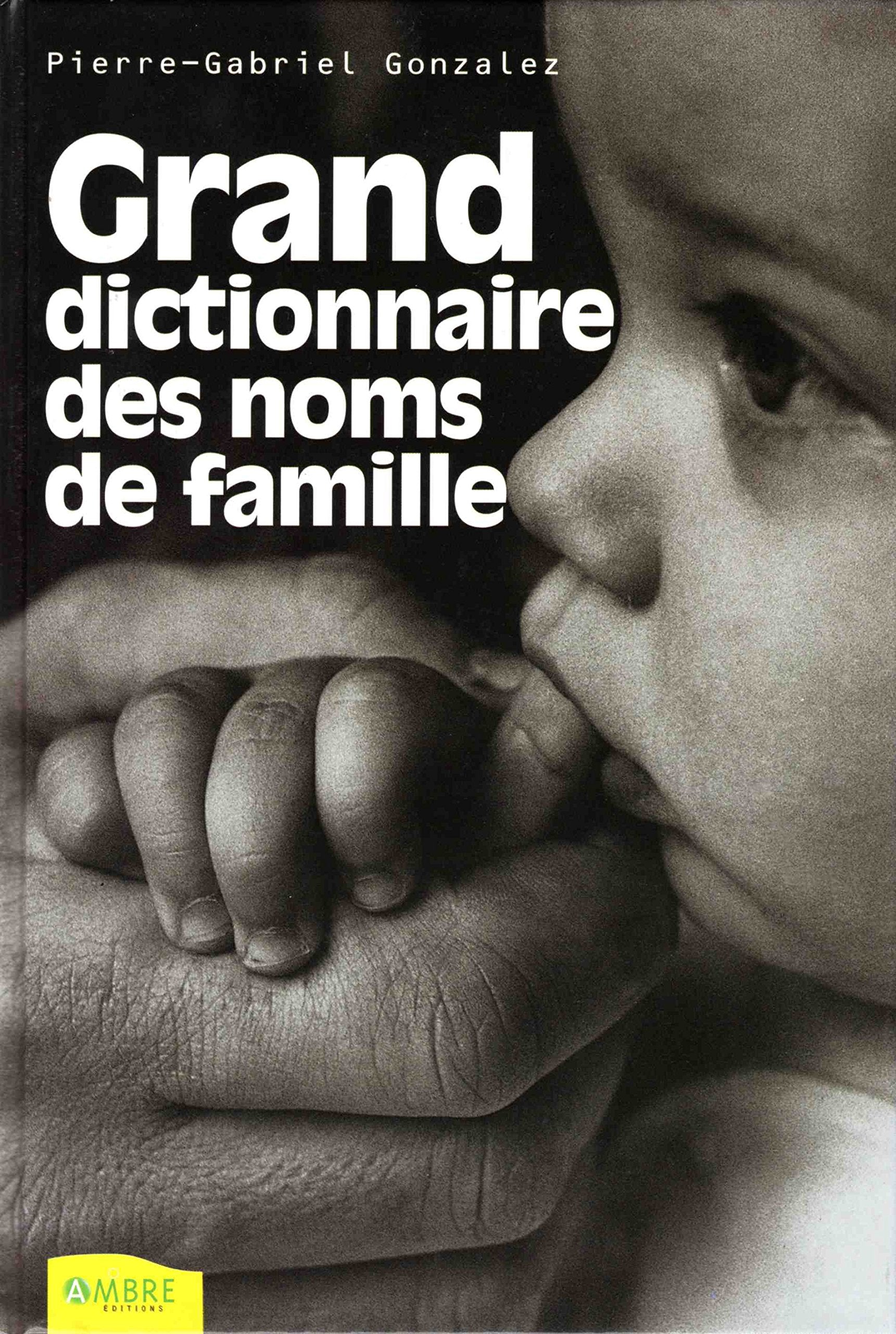 Grand Dictionnaire Des Noms De Famille 9782846390095