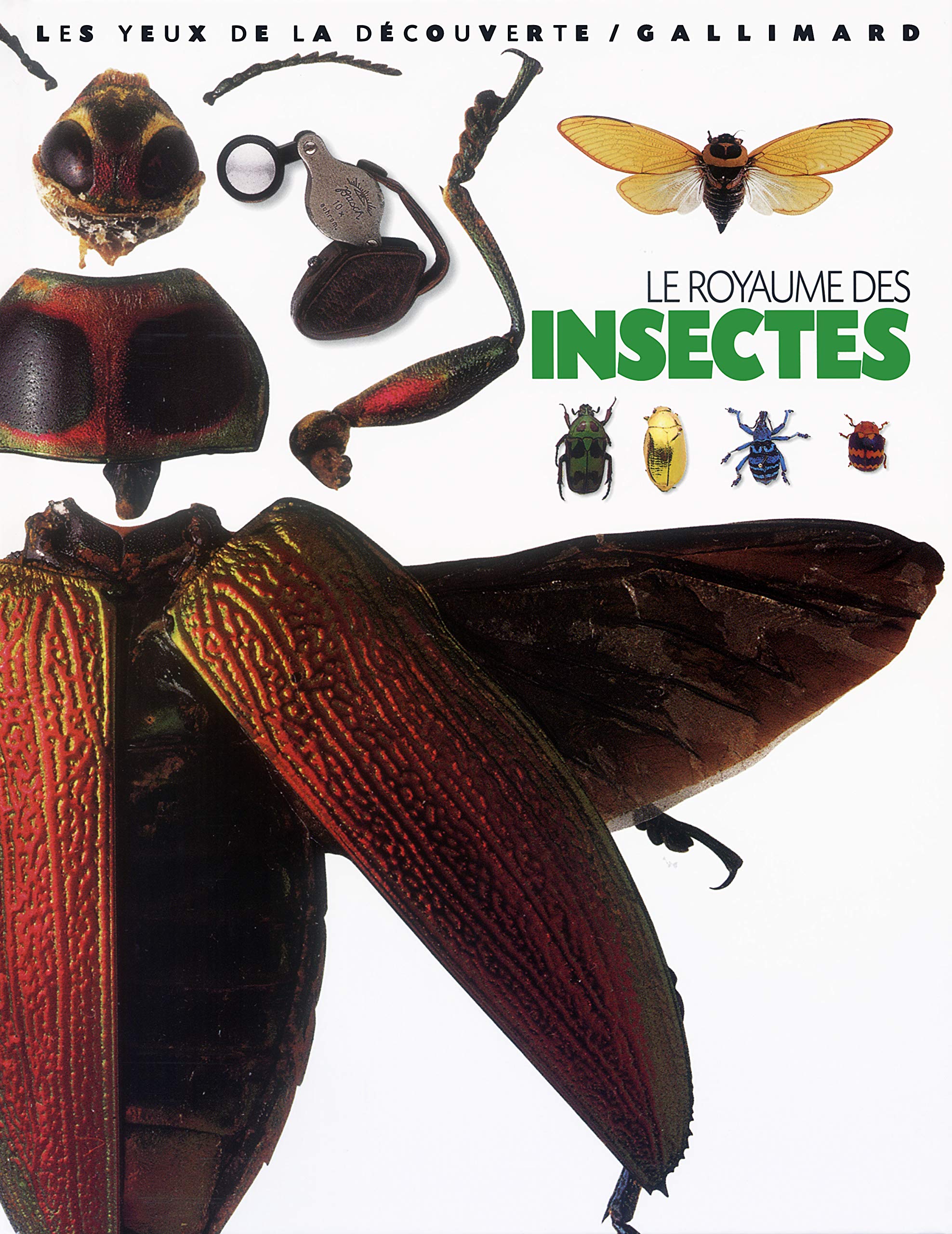 Le Royaume des insectes 9782070538188