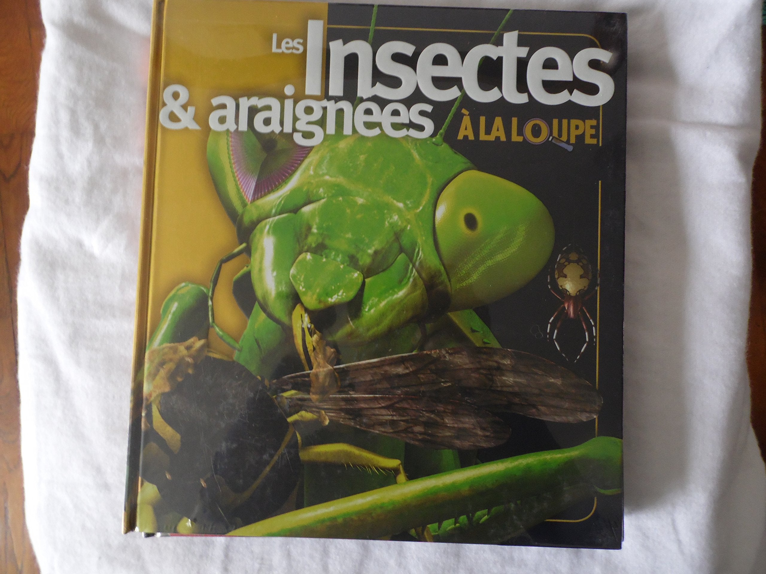 les insectes et araignées à la loupe 9782298026832