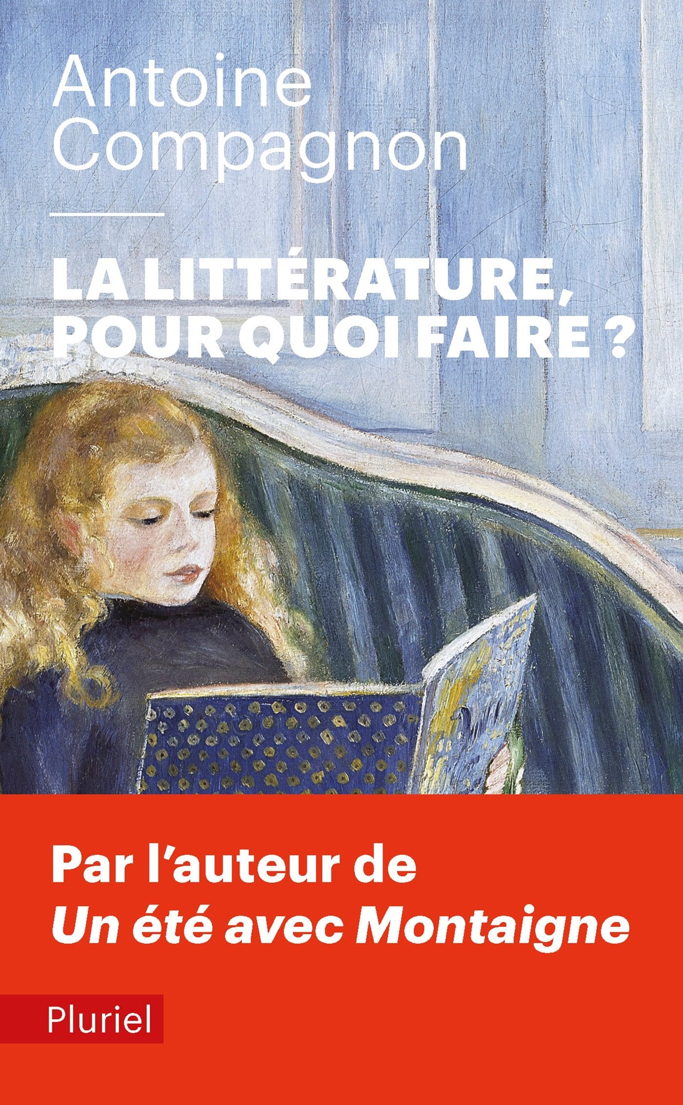 La littérature, pour quoi faire ? 9782818505564