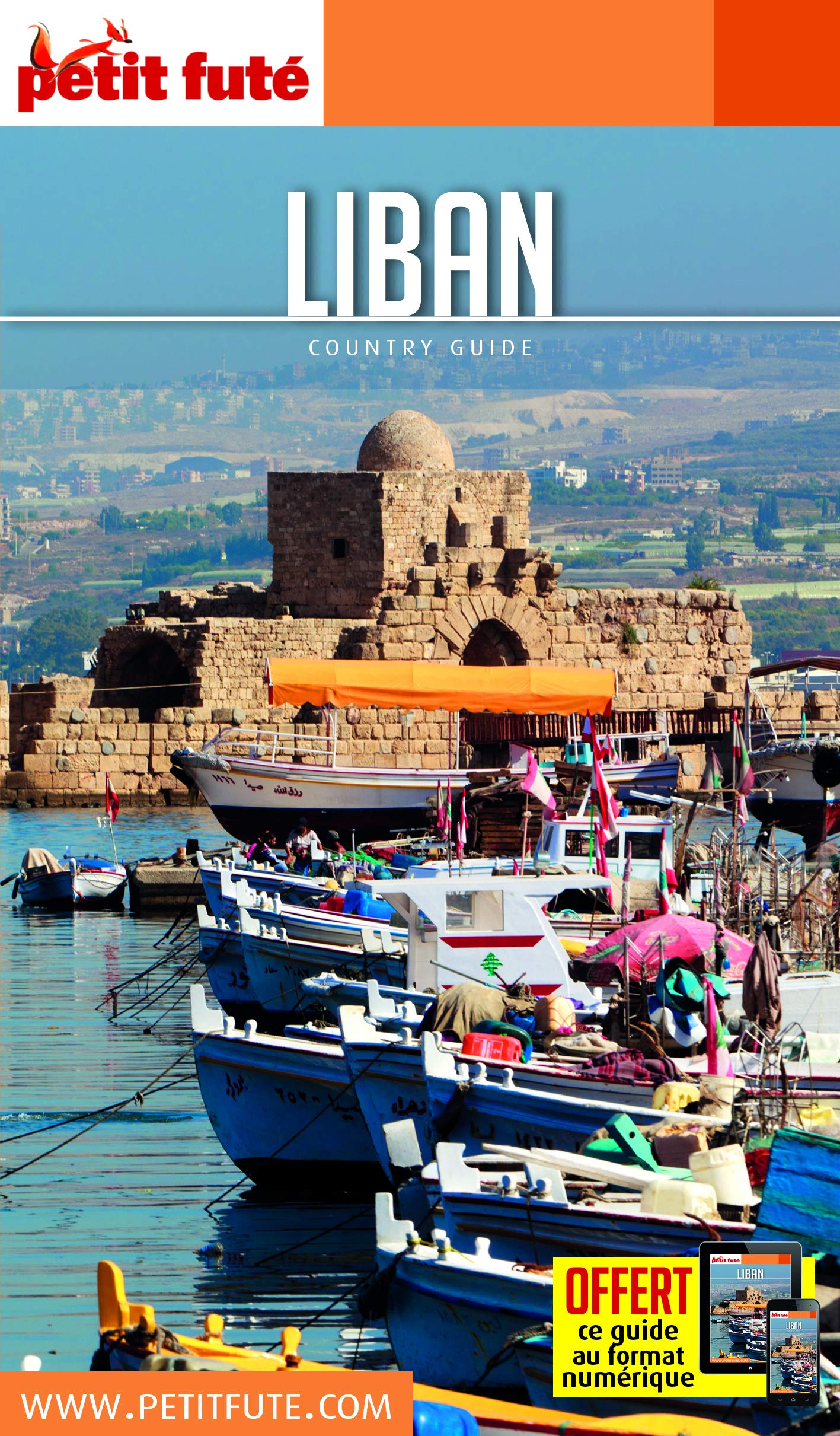 Guide Liban 2017 Petit Futé 9782746964891