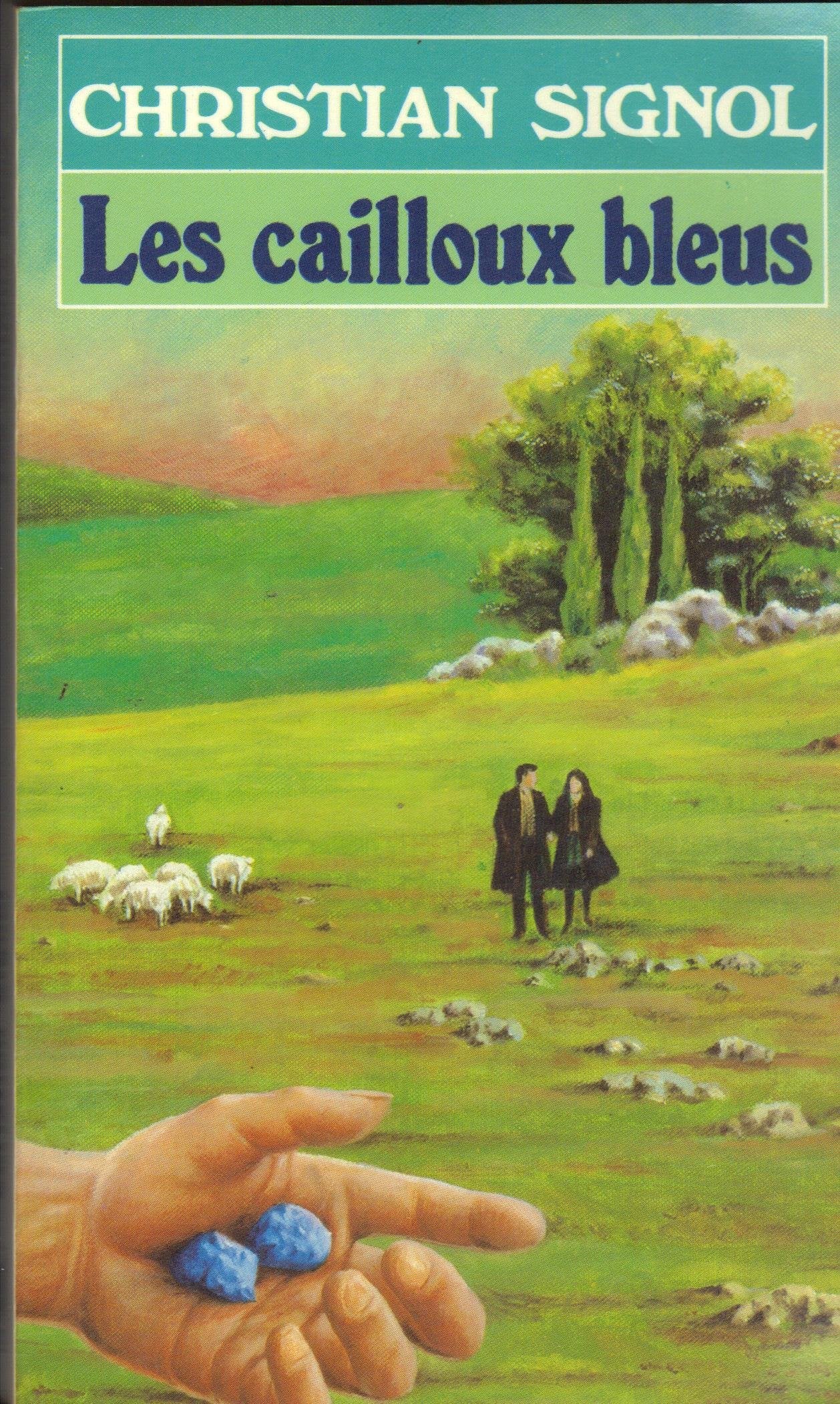 Les Cailloux bleus 9782266017411