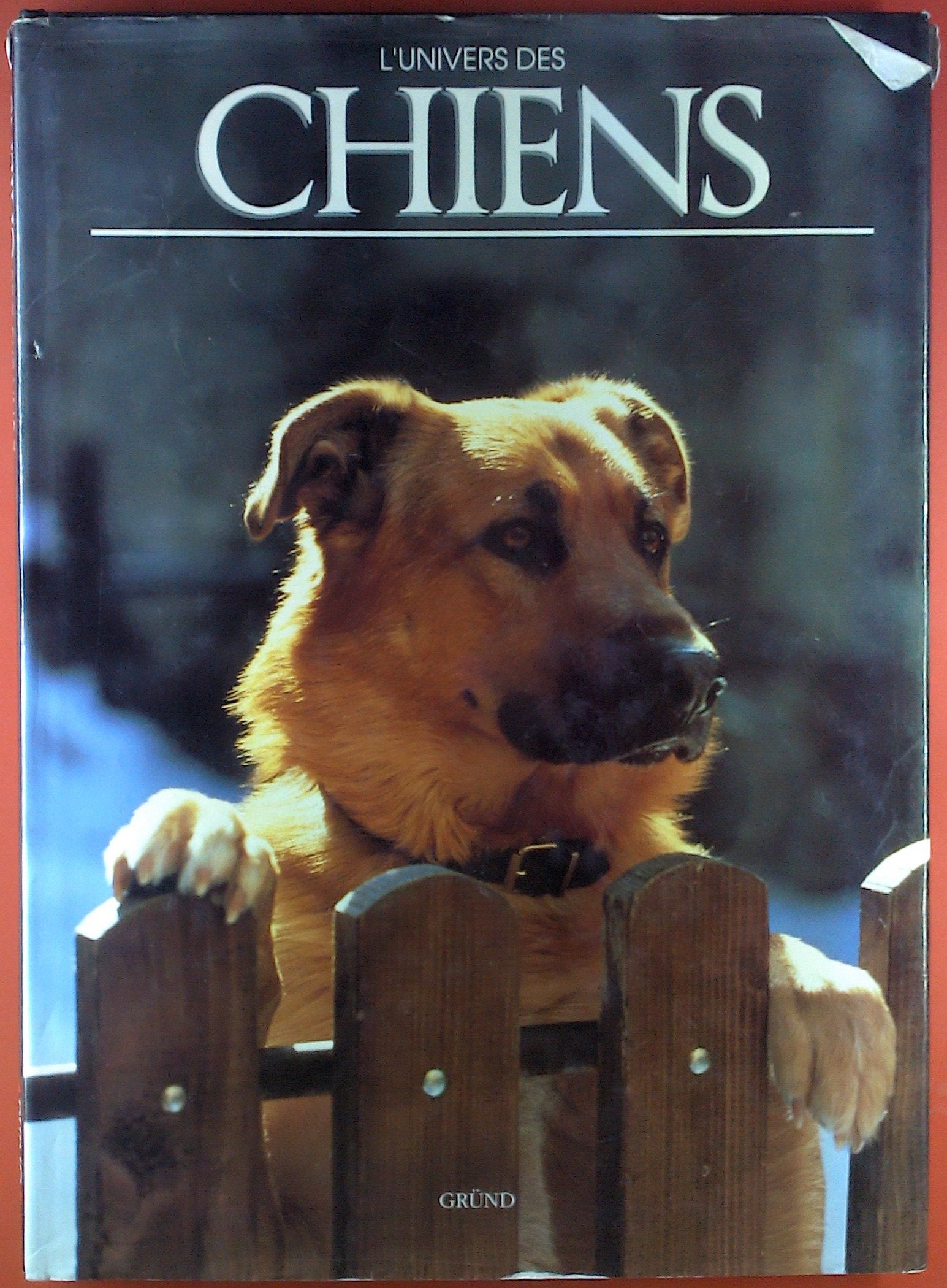 L'univers des chiens 9782700054163