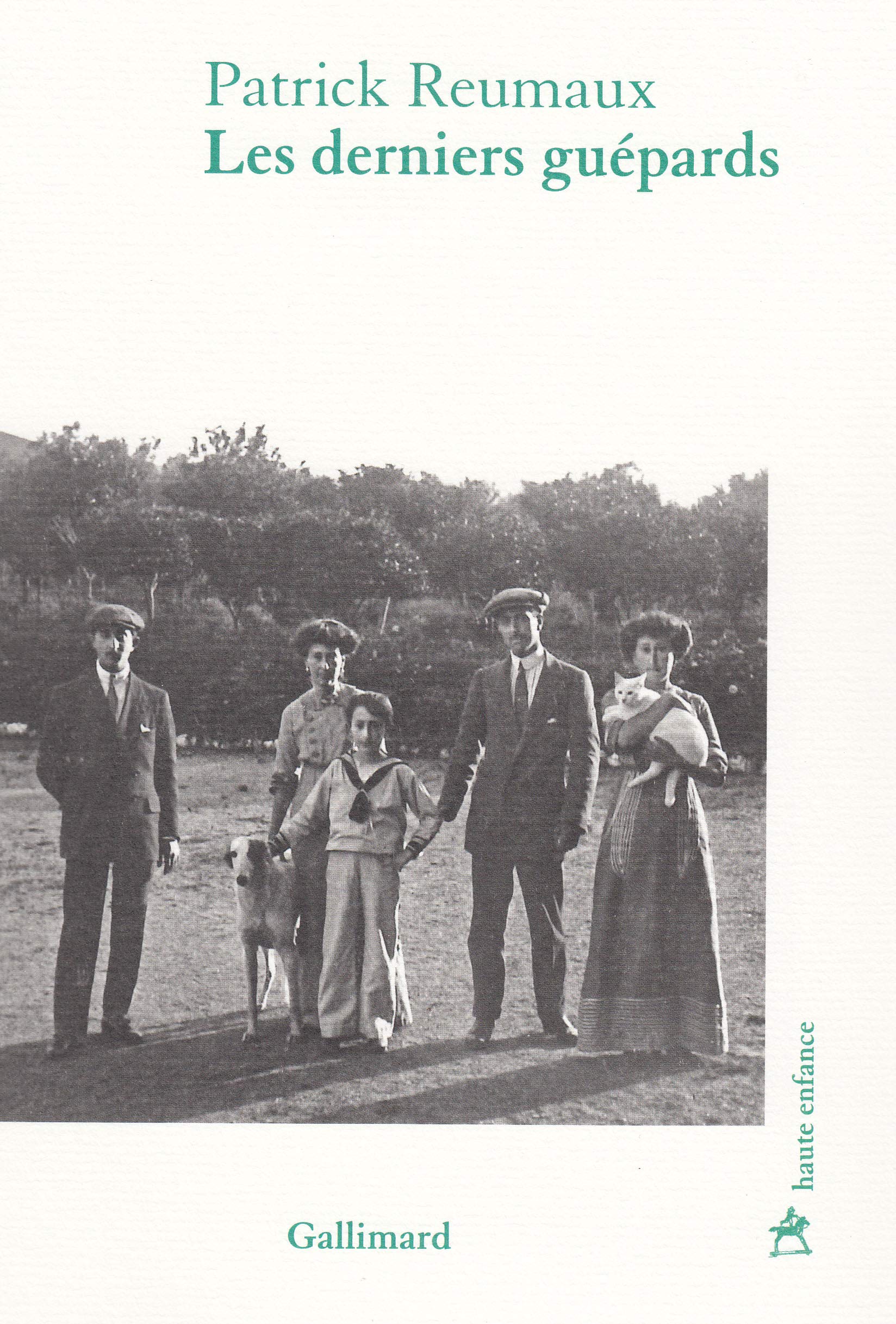 Les derniers guépards 9782072916762