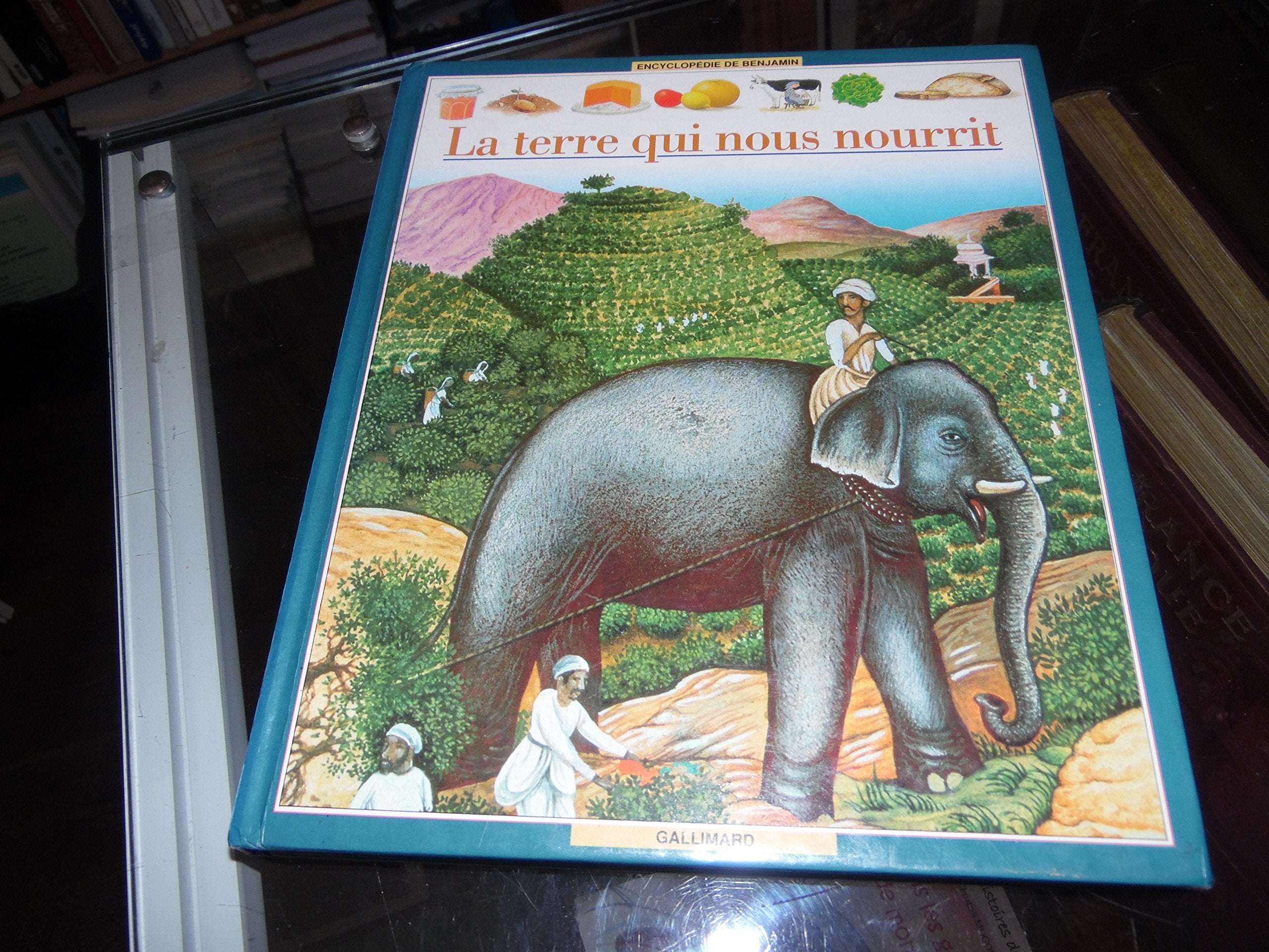 La Terre qui nous nourrit 9782070359004