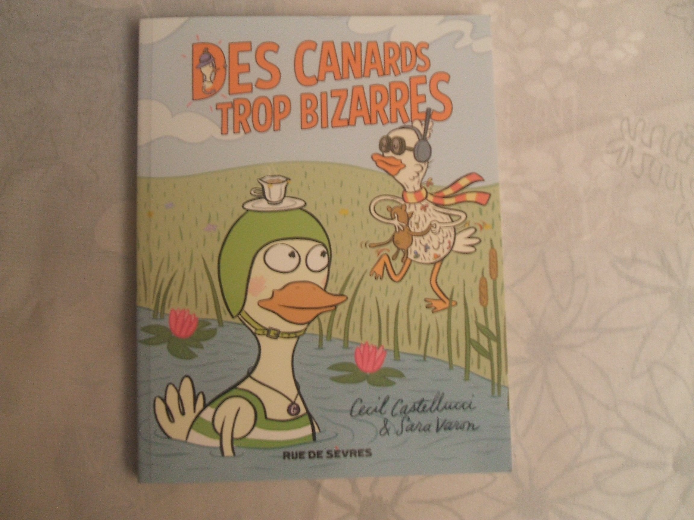 DES CANARDS TROP BIZARRES 9782369810377