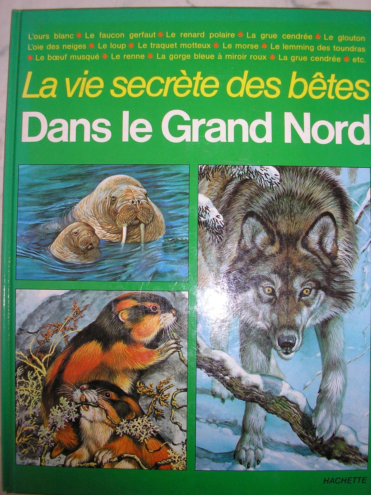 Dans le grand nord 9782010052224