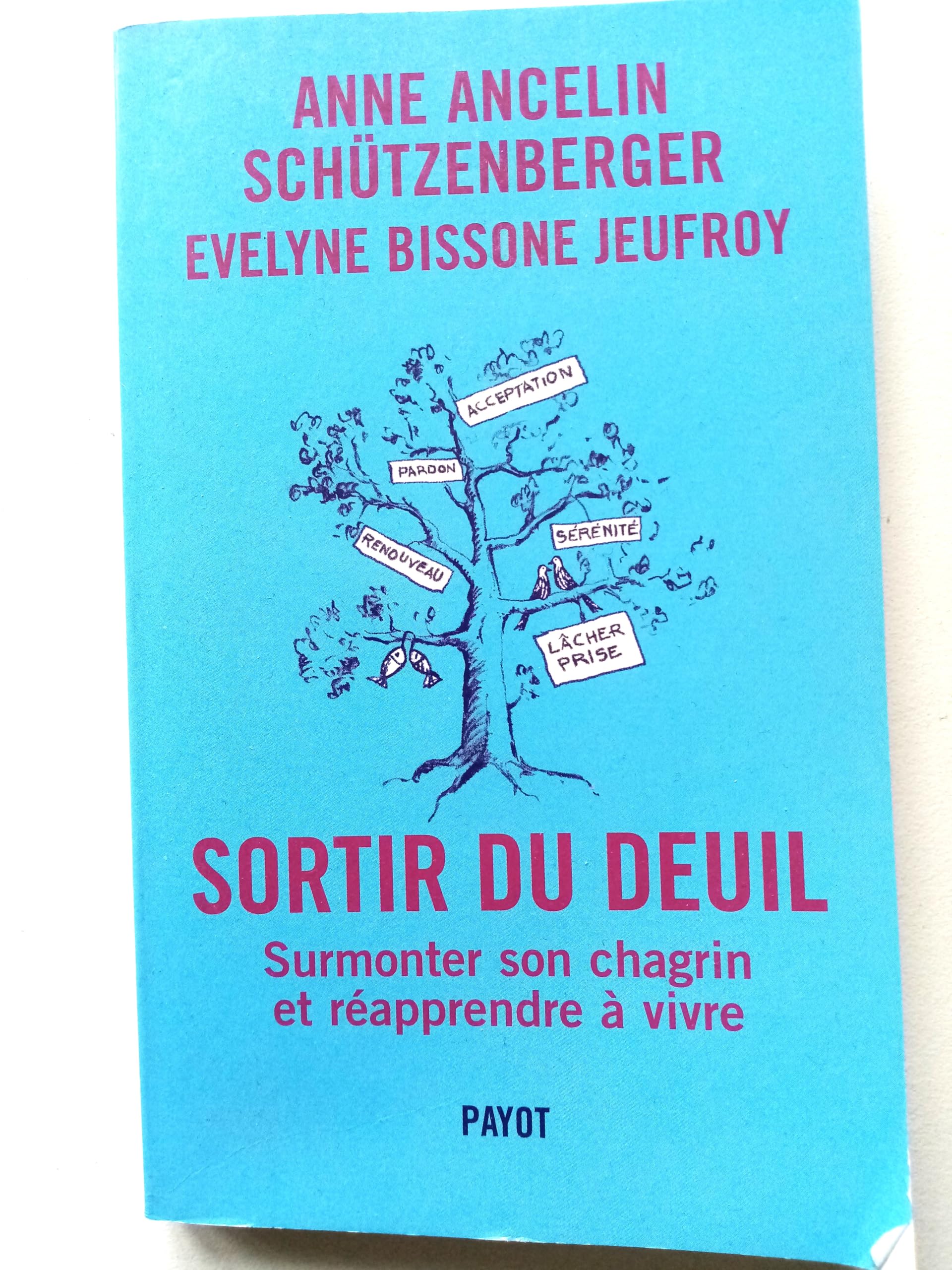 Sortir du deuil : Comment affronter son chagrin et surmonter la perte 9782228899550