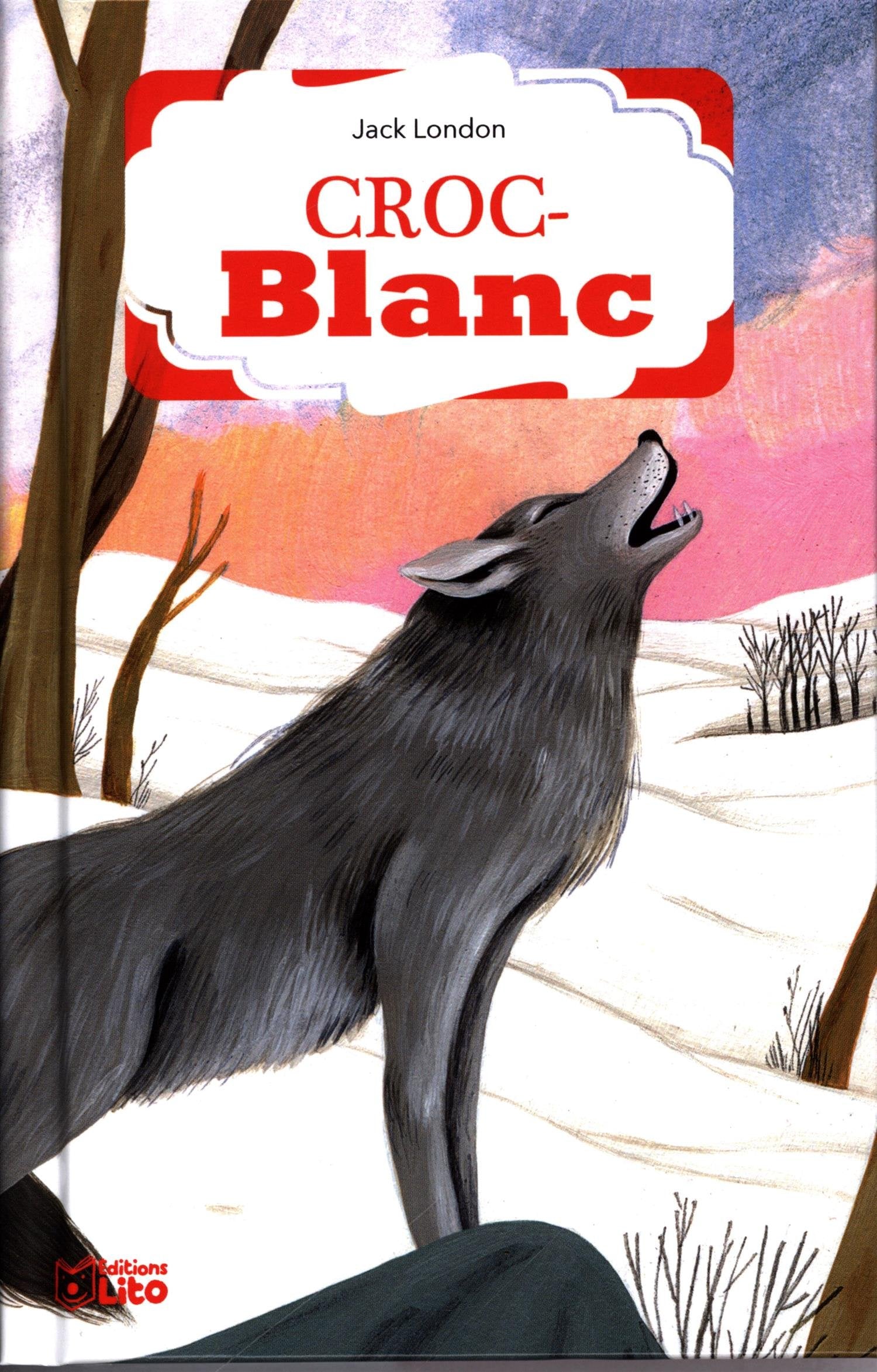 Croc-blanc - Dès 8 ans 9782244415123