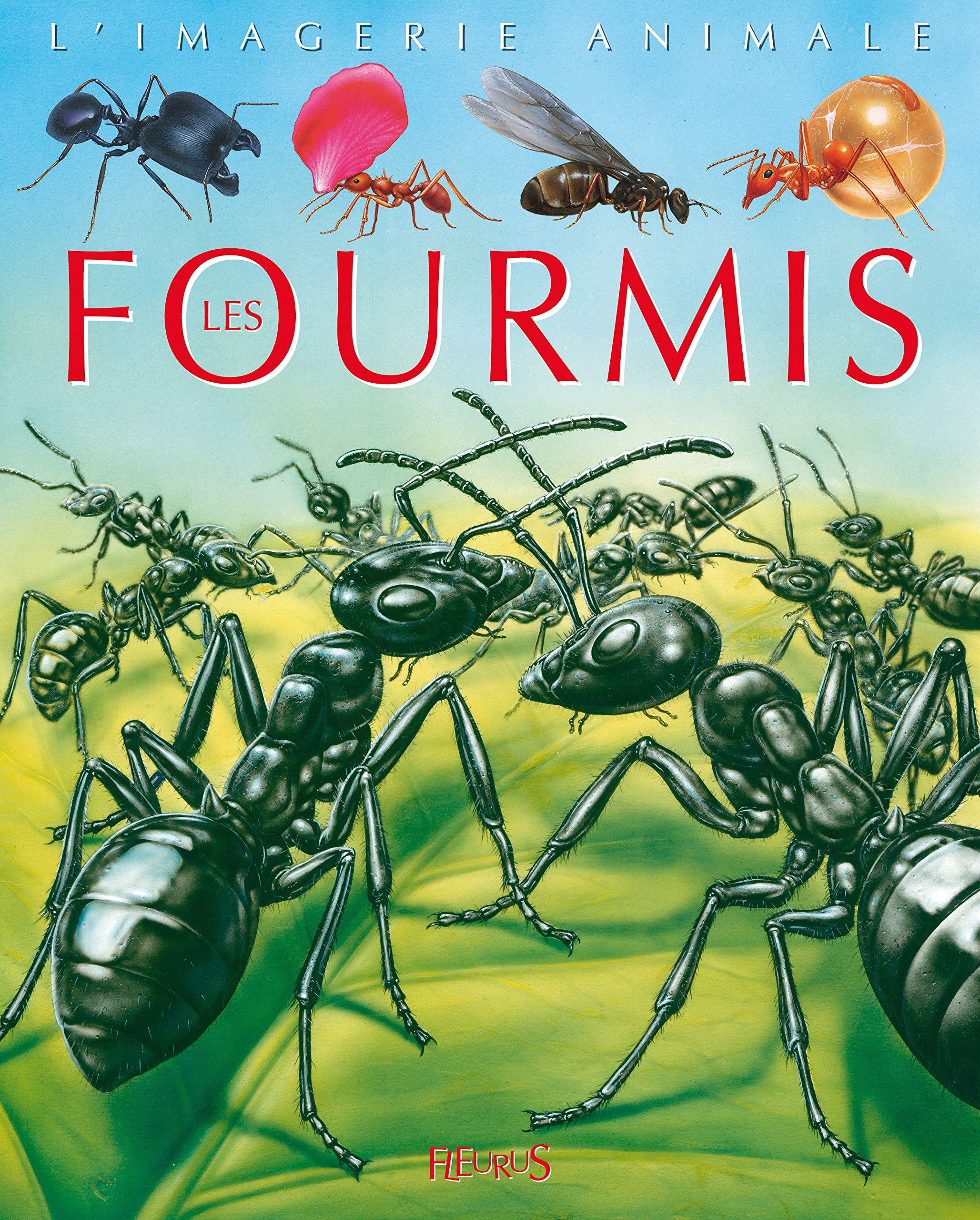 Les fourmis 9782215097310