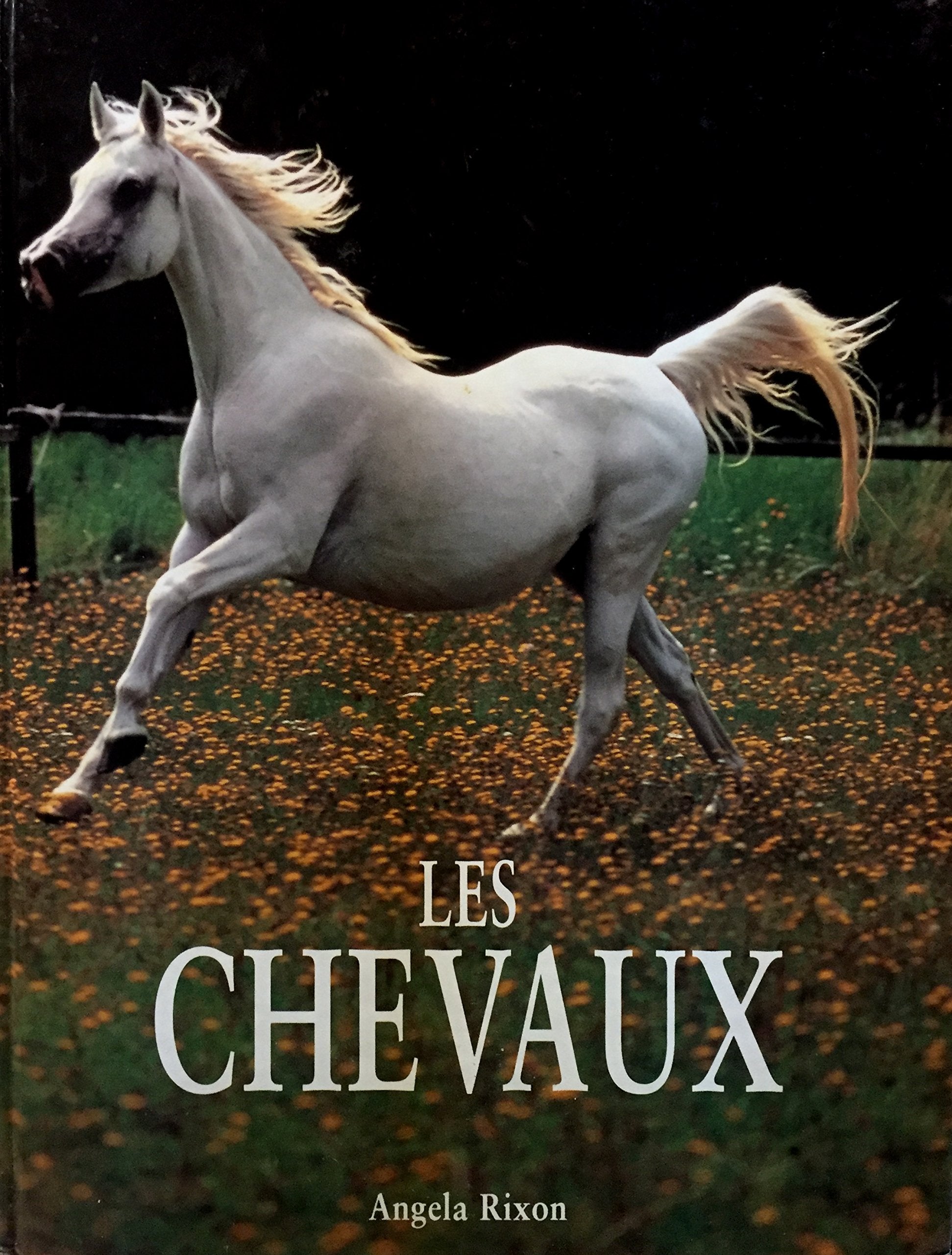 Les chevaux 9782237005195