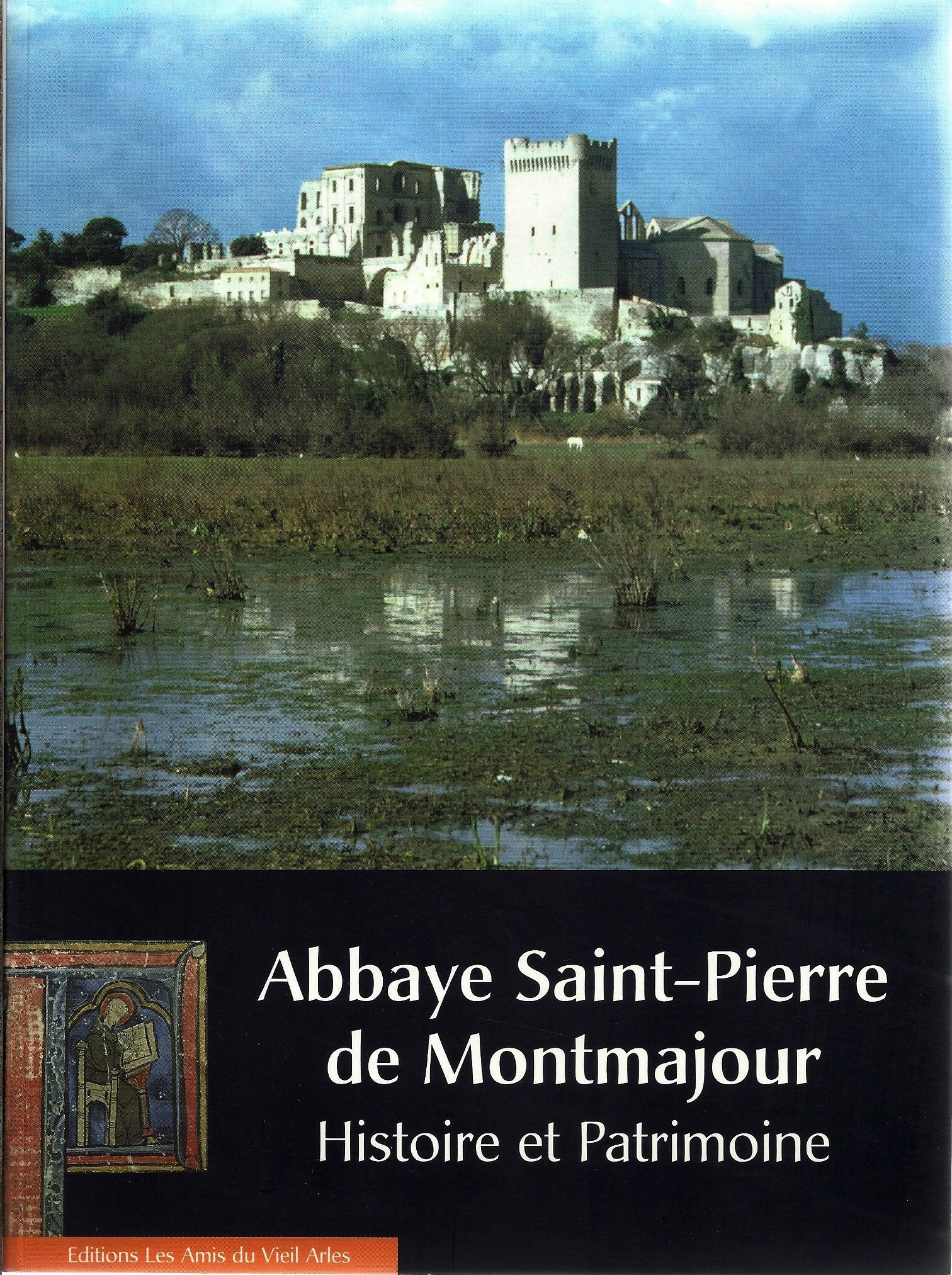 abbaye saint-pierre de montmajour " histoire et patrimoine"