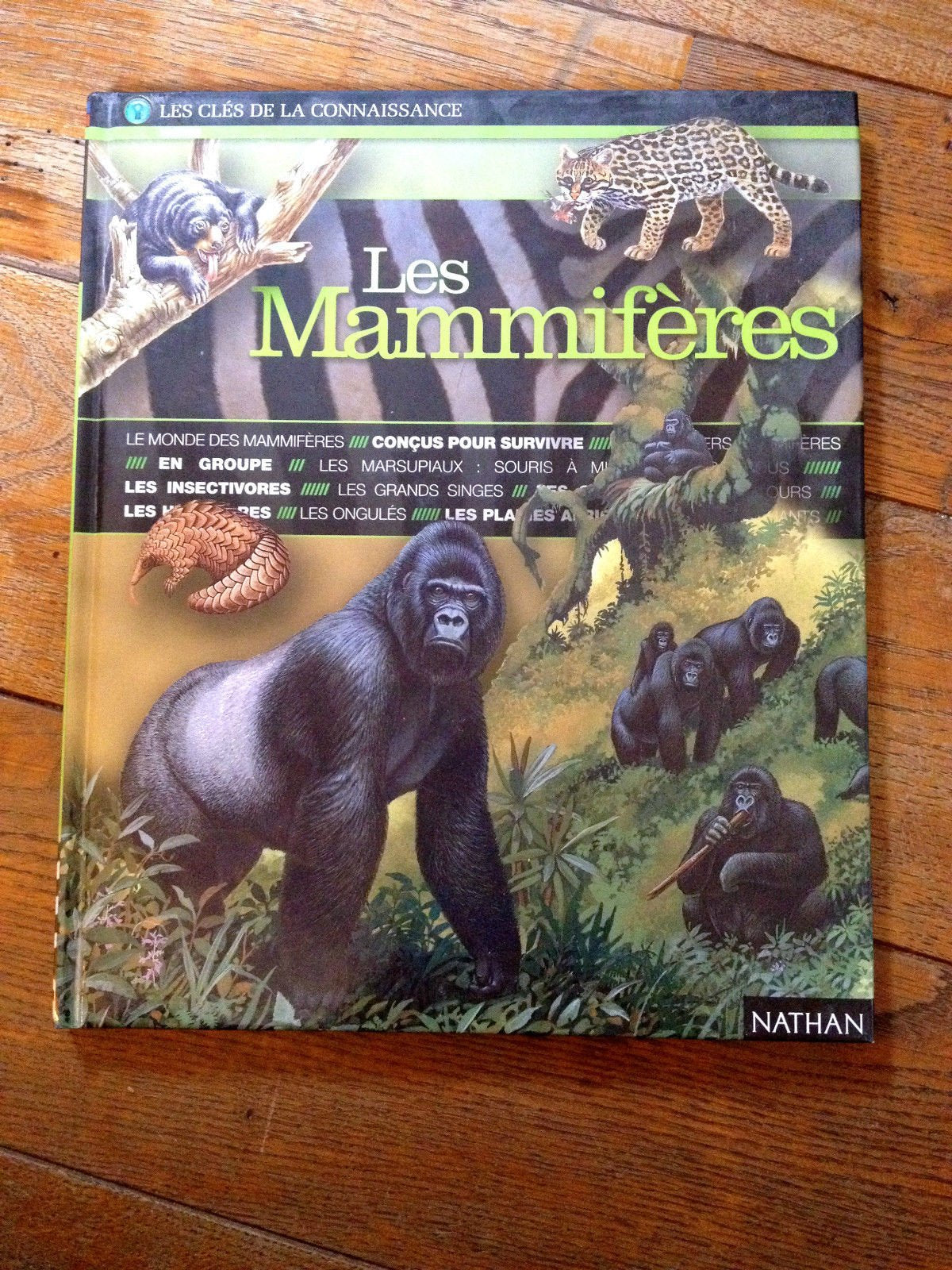 Les mammifères 9782092772485