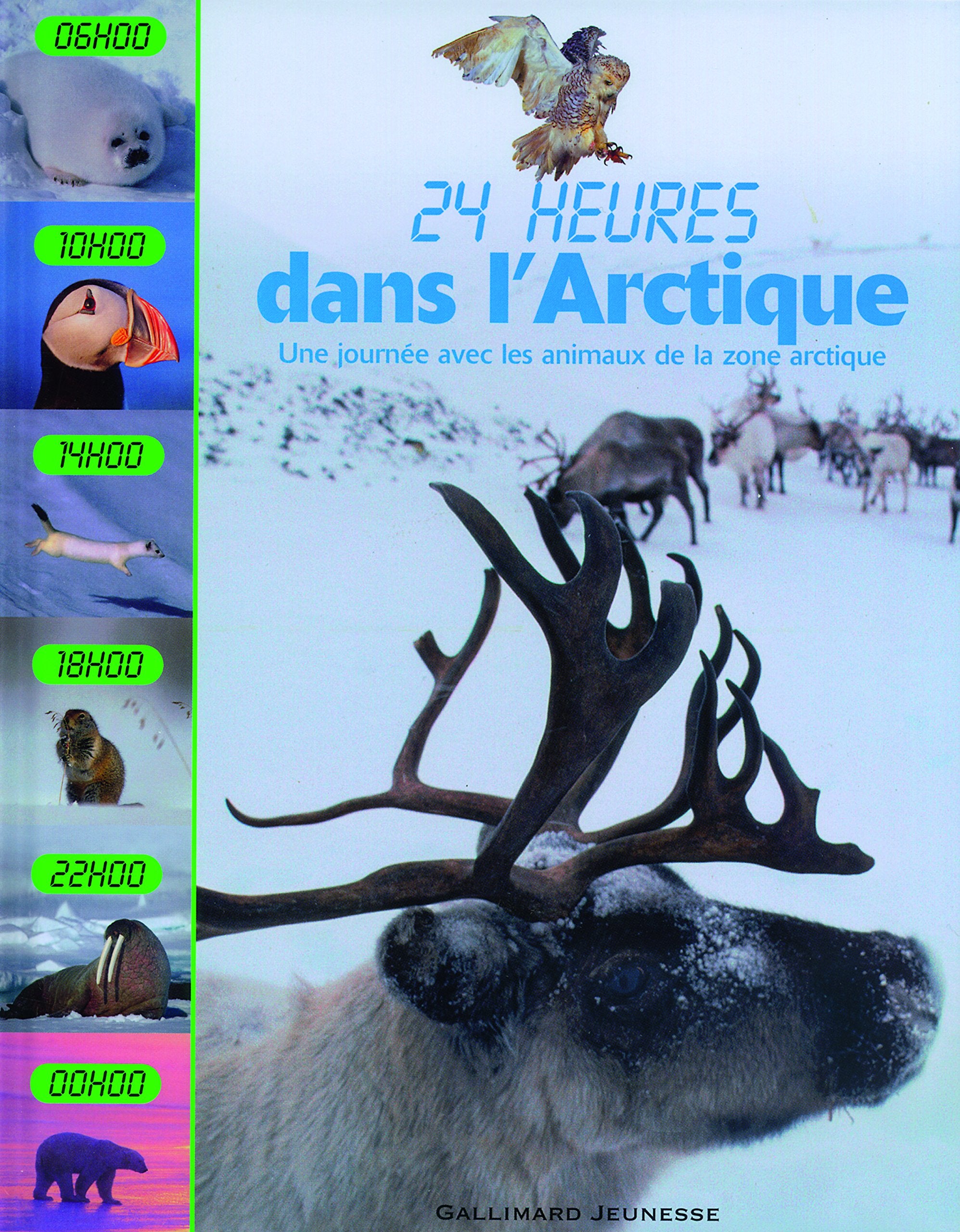 Dans l'Arctique: Une journée avec les animaux de la zone arctique 9782070613373