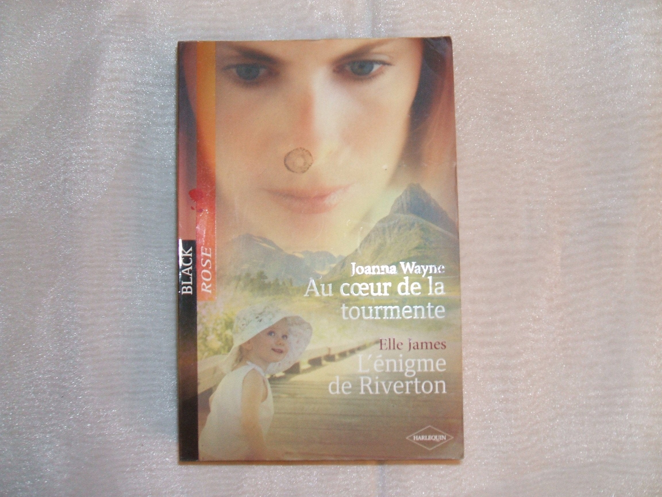 Au coeur de la tourmente/L'énigme de Riverton 9782280833226