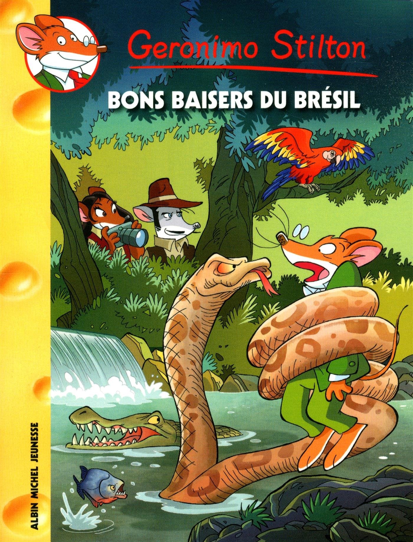 Bons baisers du Brésil 9782226255235