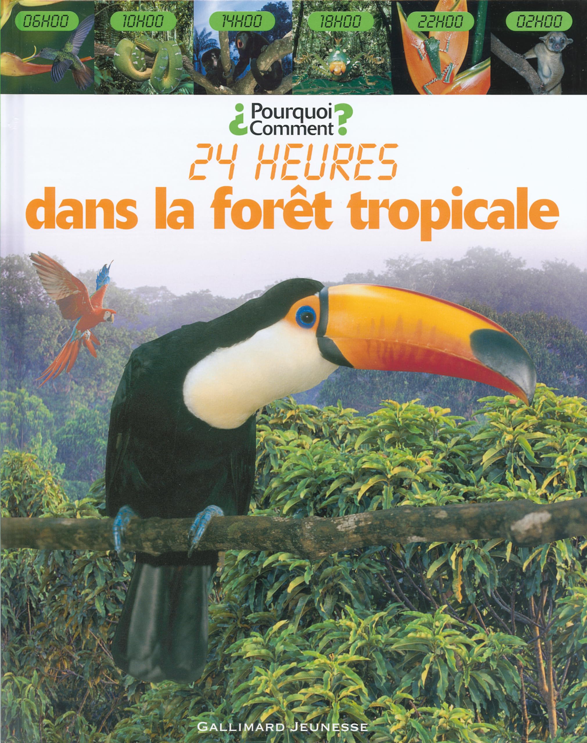 Dans la forêt tropicale 9782070577248
