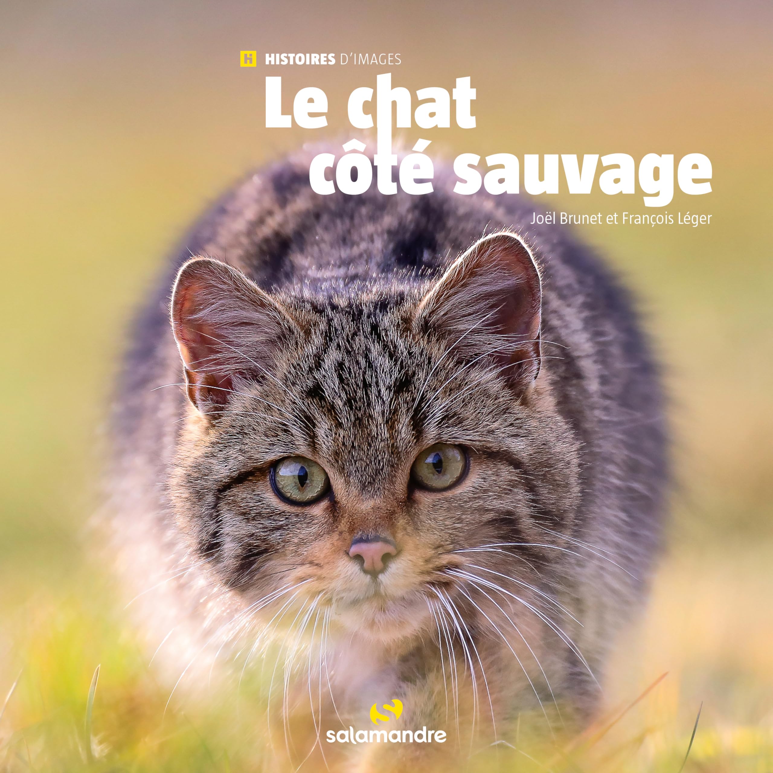 Le chat côté sauvage 9782889585922