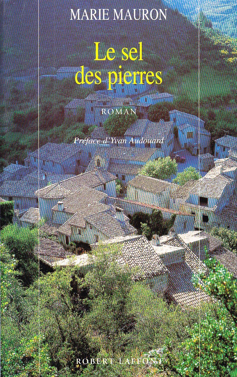 SEL DES PIERRES 9782221082522