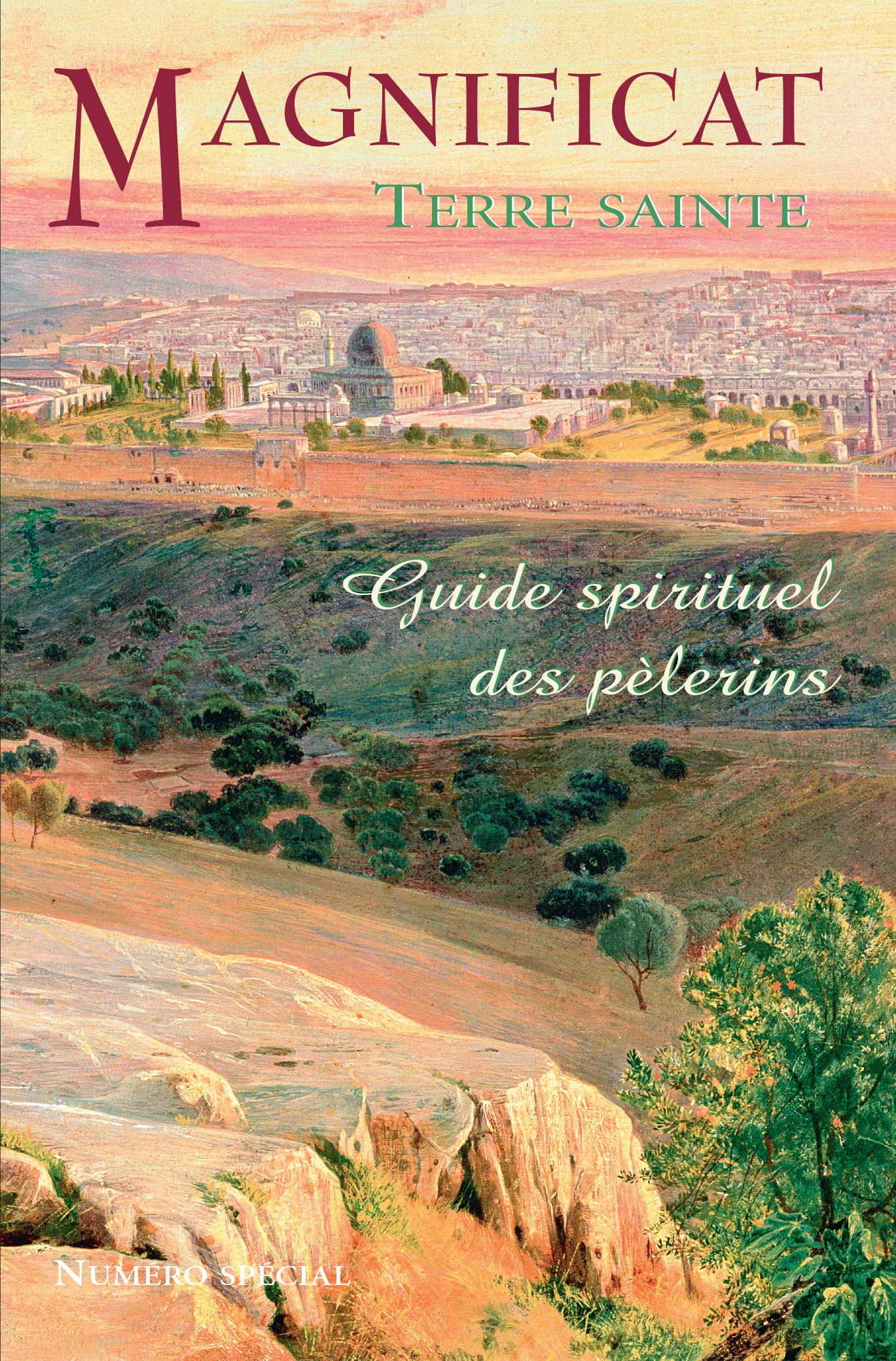 Guide spirituel des pèlerins Terre sainte 9782917146132