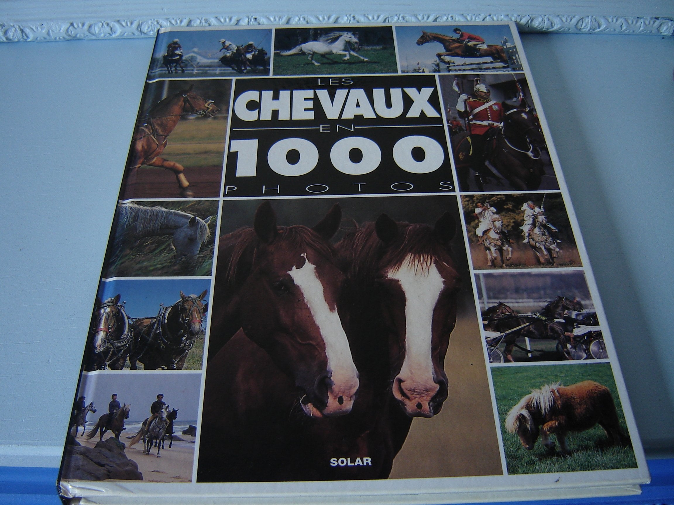 Les chevaux en 1000 photos 9782263019456