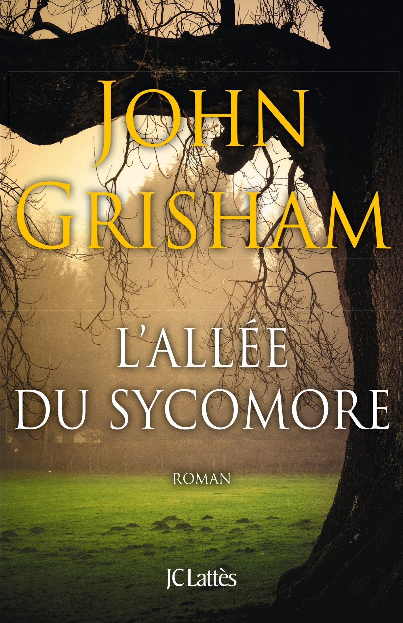 L'allée du sycomore 9782709646222