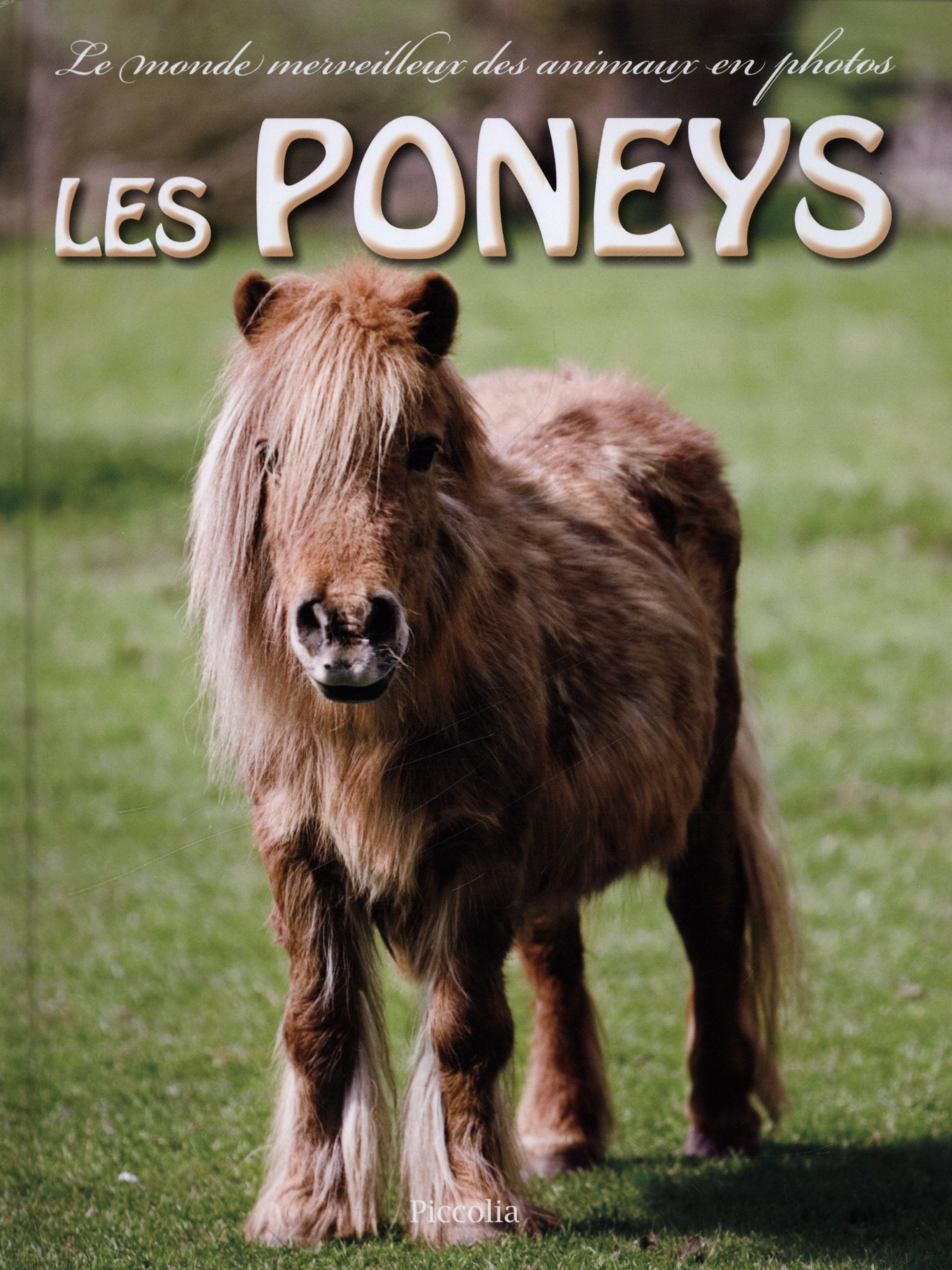 Les Poneys 9782753024144