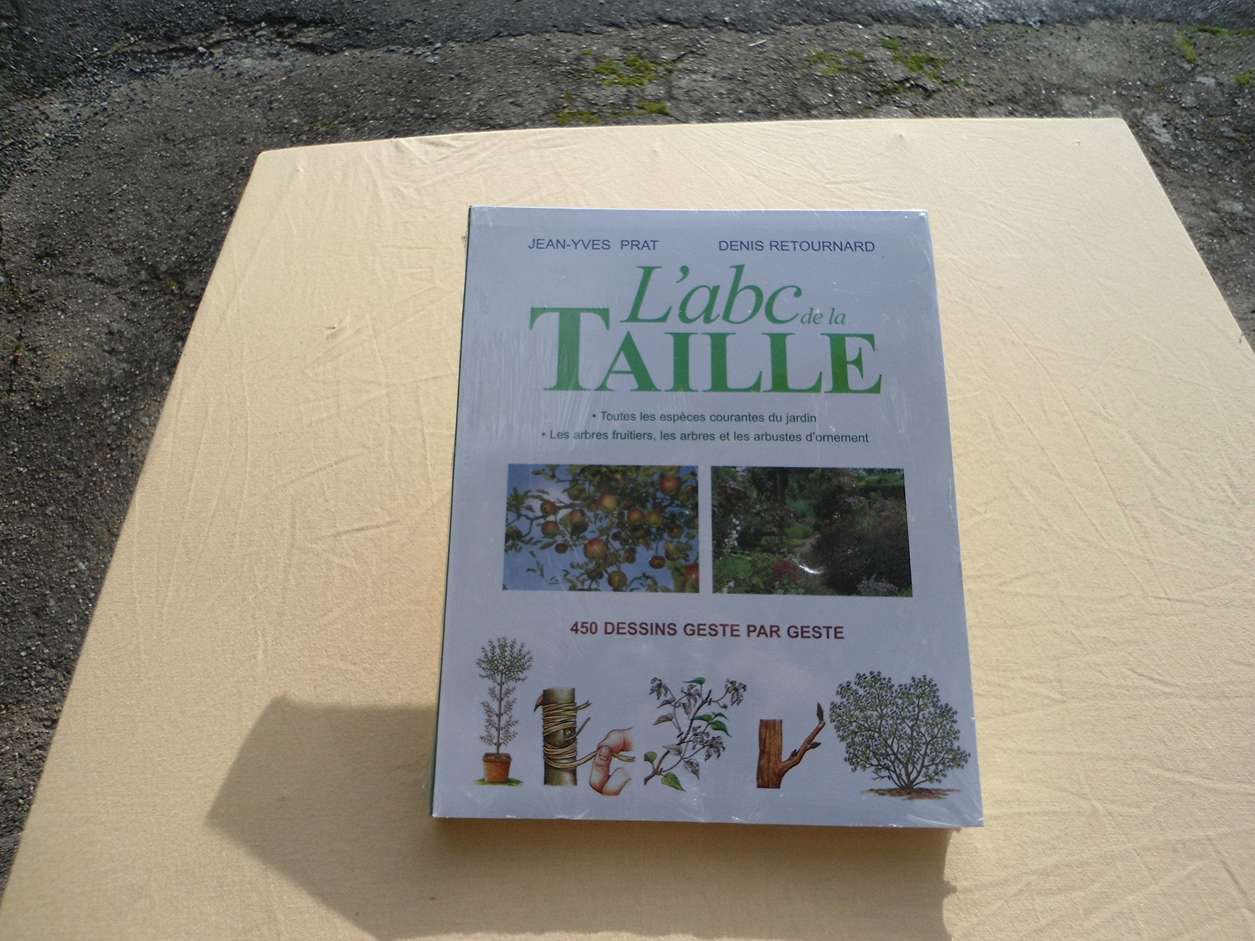 L'ABC de la taille : geste par geste 9782840382980