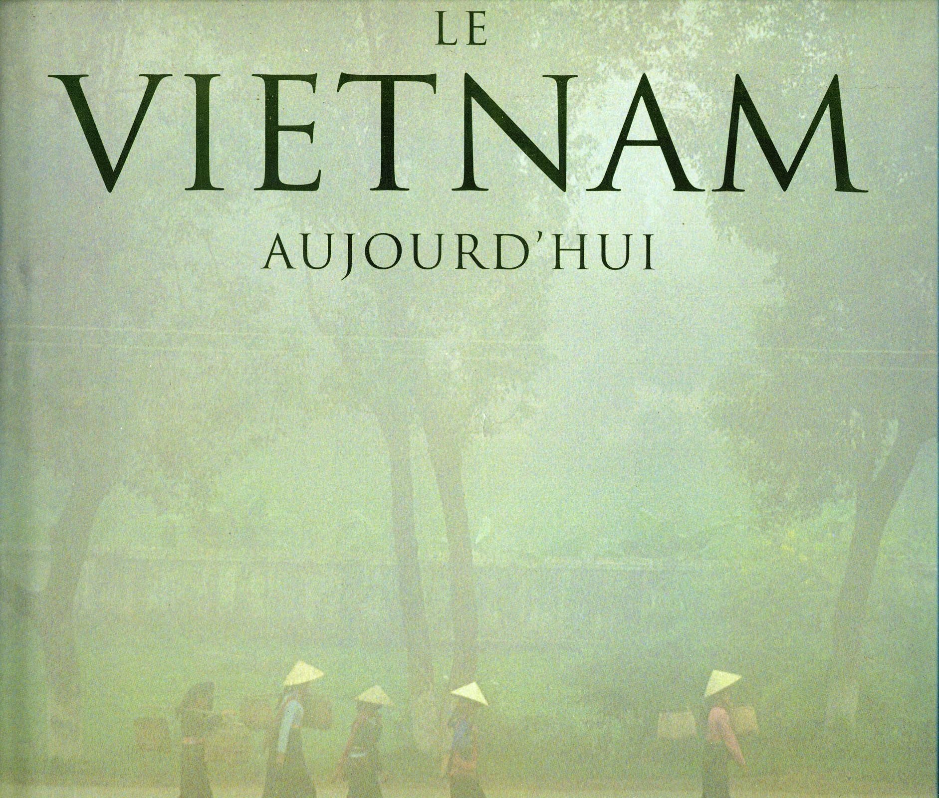 Le Vietnam aujourd'hui 9782879460147