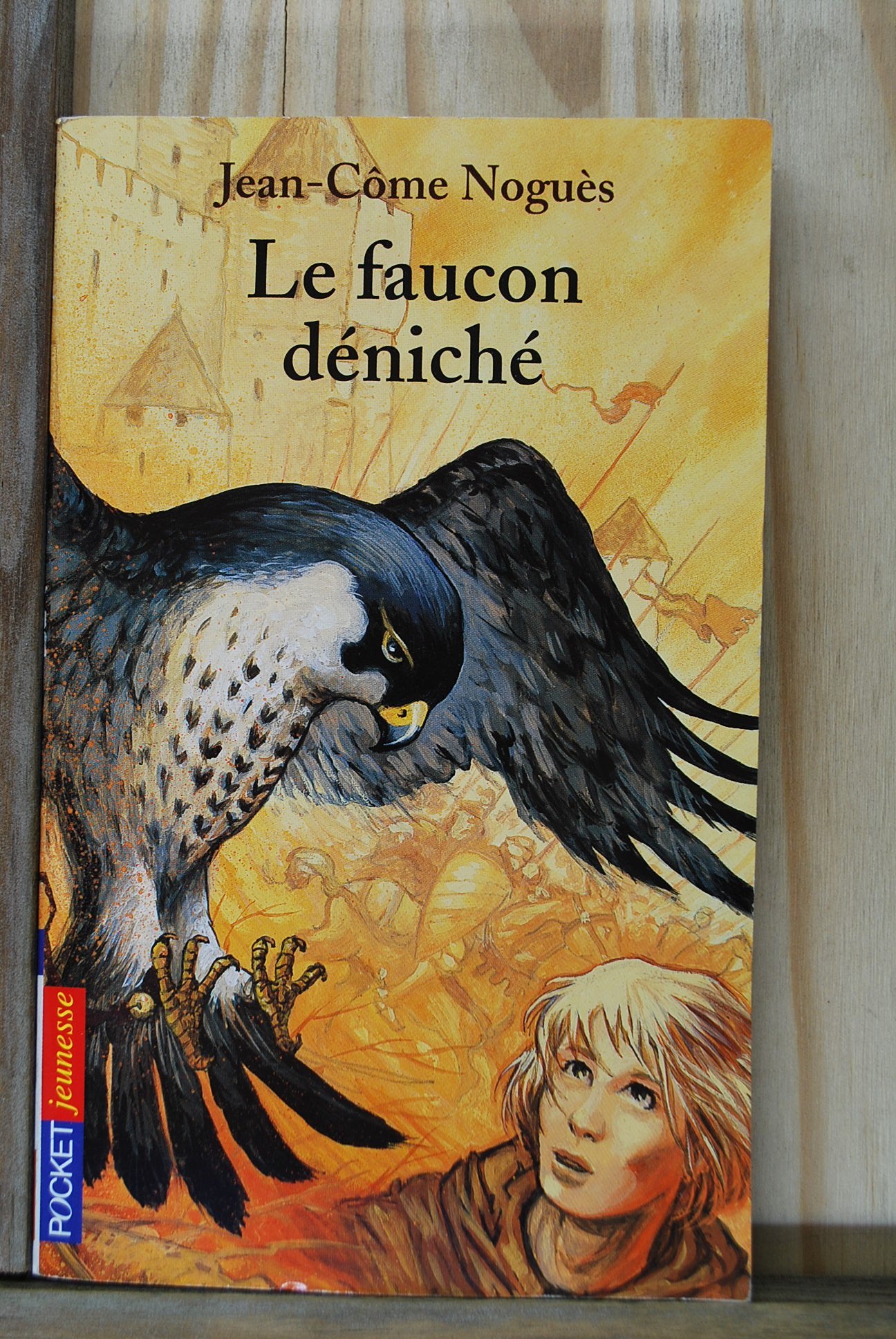 Le Faucon deniché 9782266126021